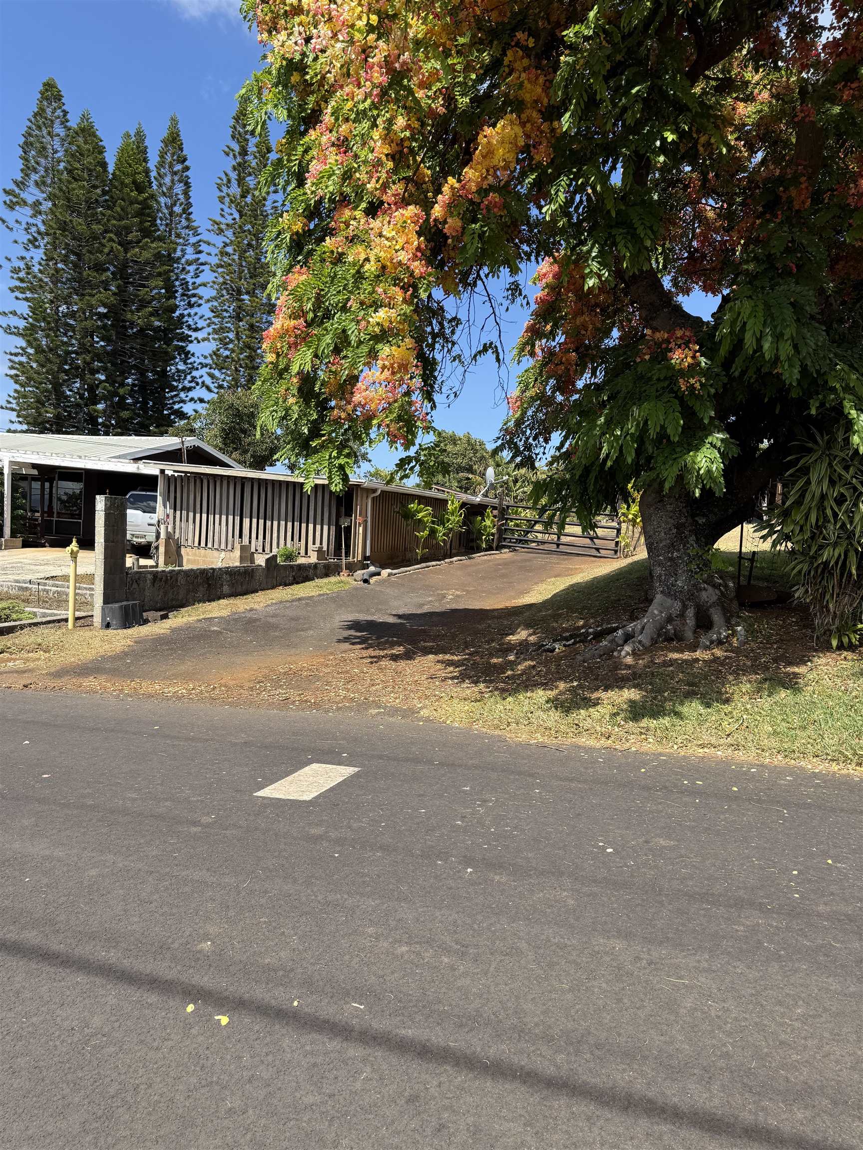 2095  Lilikoi Rd , Haiku home - photo 19 of 27