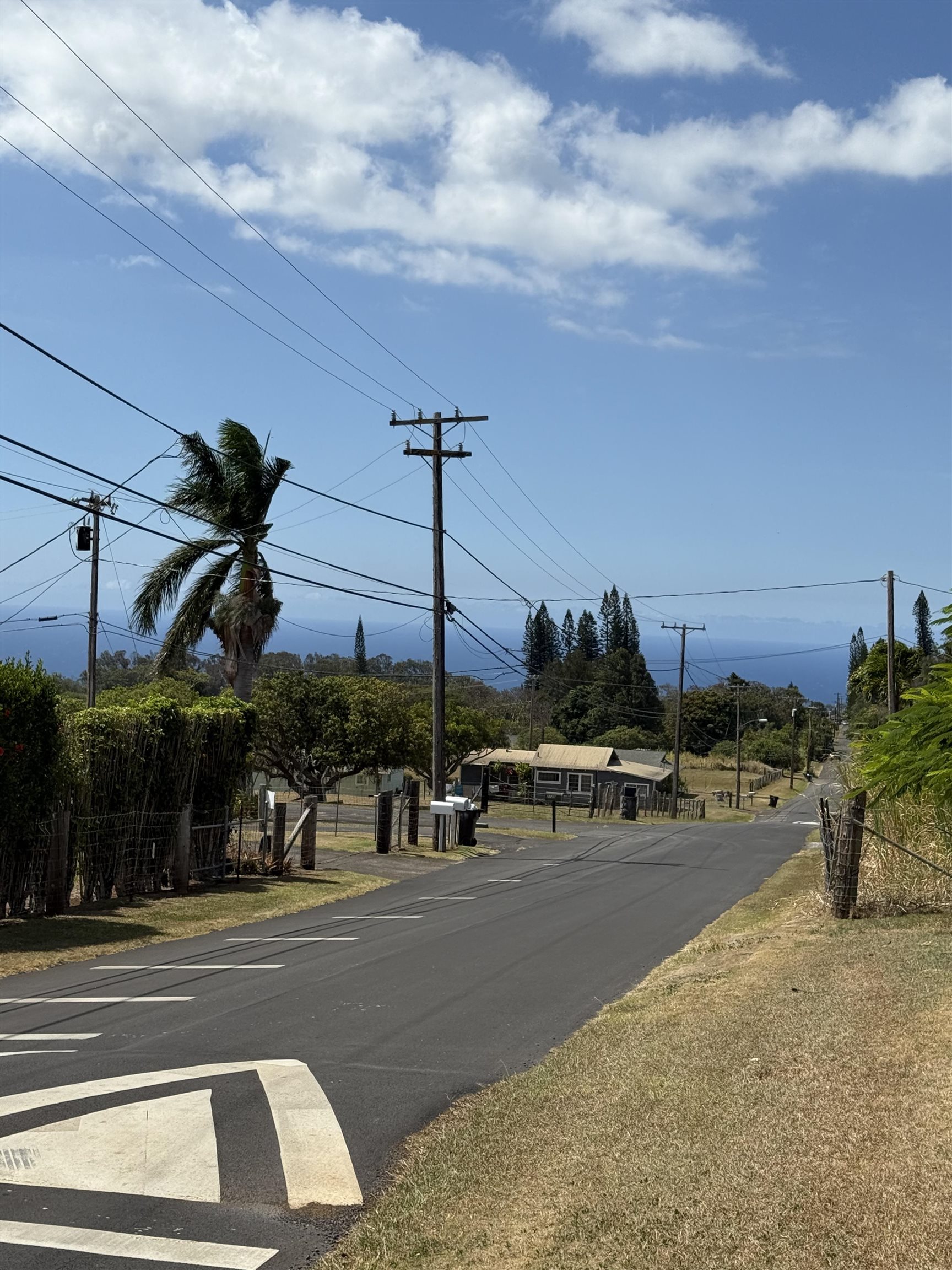 2095  Lilikoi Rd , Haiku home - photo 22 of 27