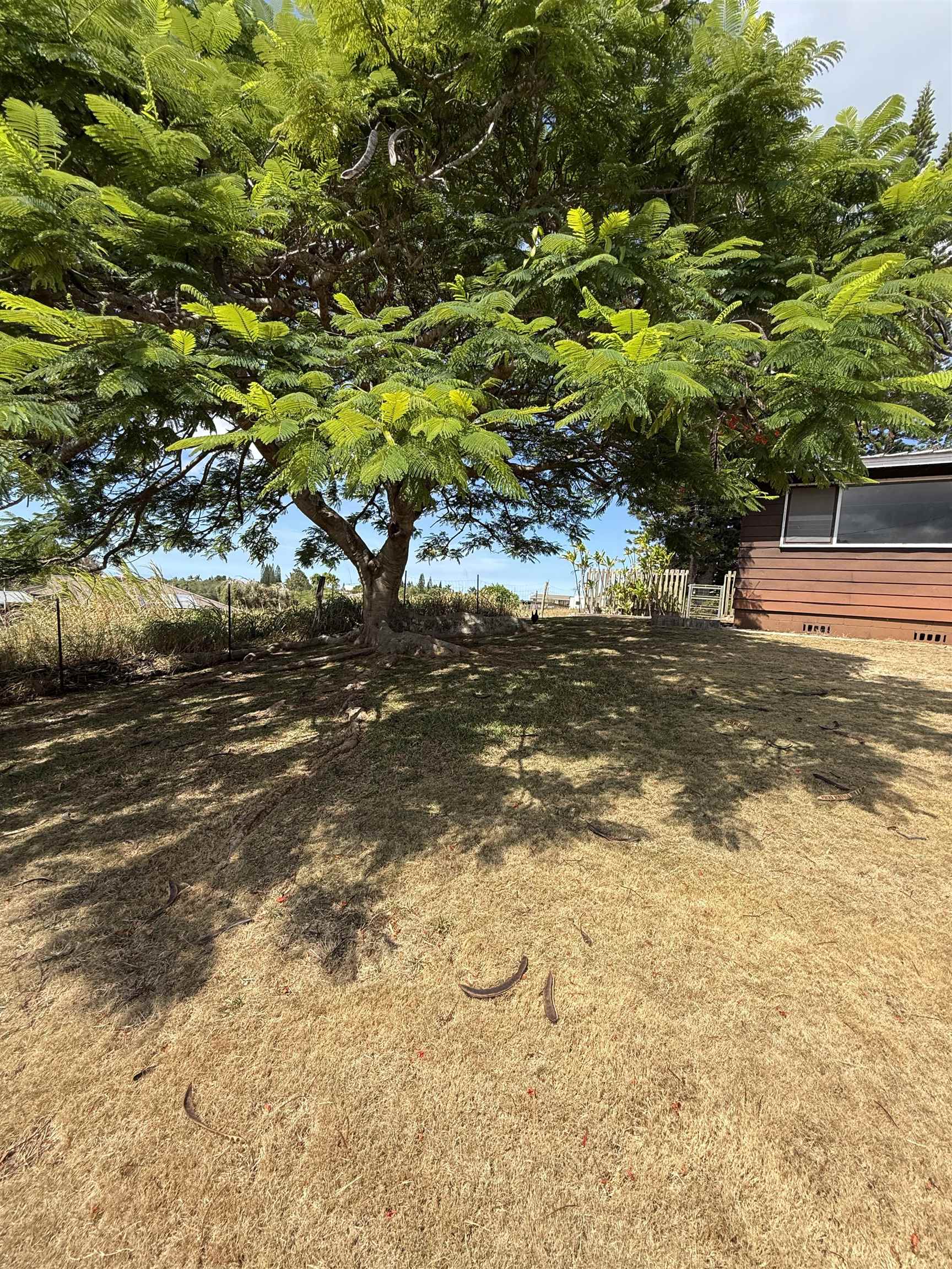 2095  Lilikoi Rd , Haiku home - photo 23 of 27