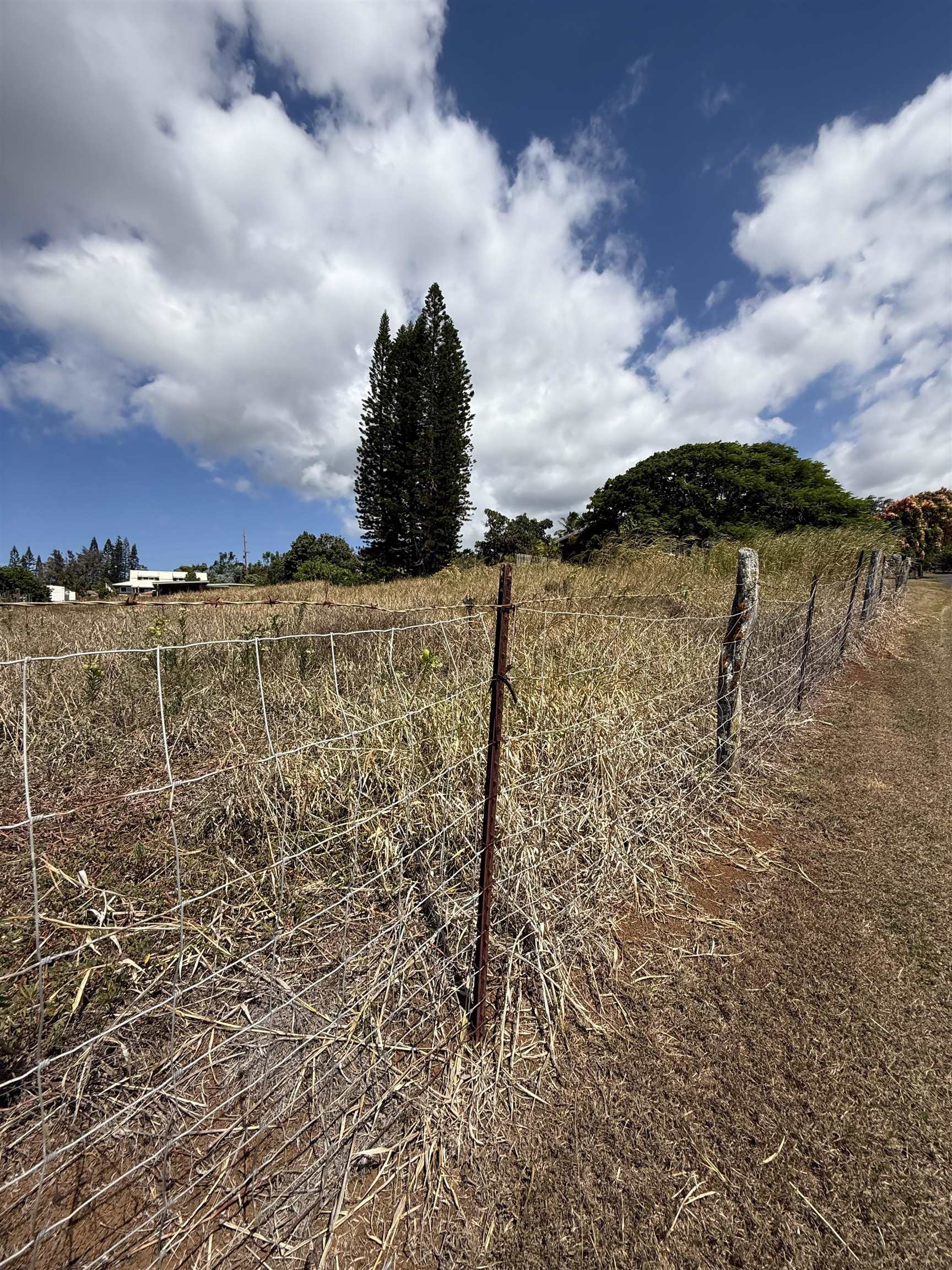 2095  Lilikoi Rd , Haiku home - photo 24 of 27