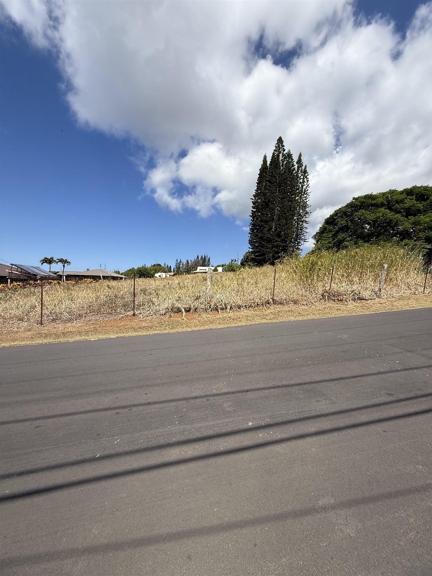 2095  Lilikoi Rd , Haiku home - photo 25 of 27