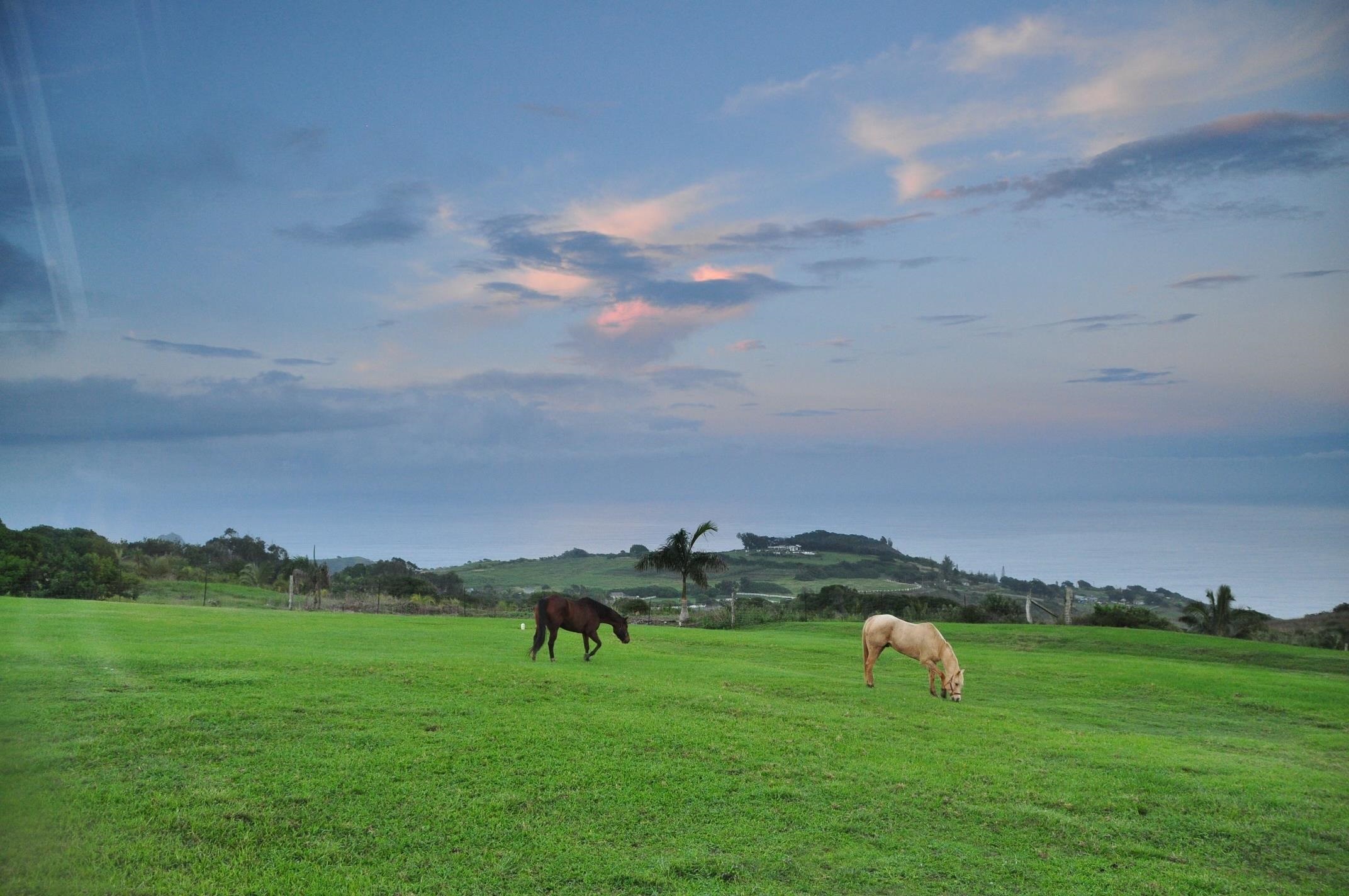 21  Hulumanu Pl Kahakuloa, Wailuku home - photo 3 of 50