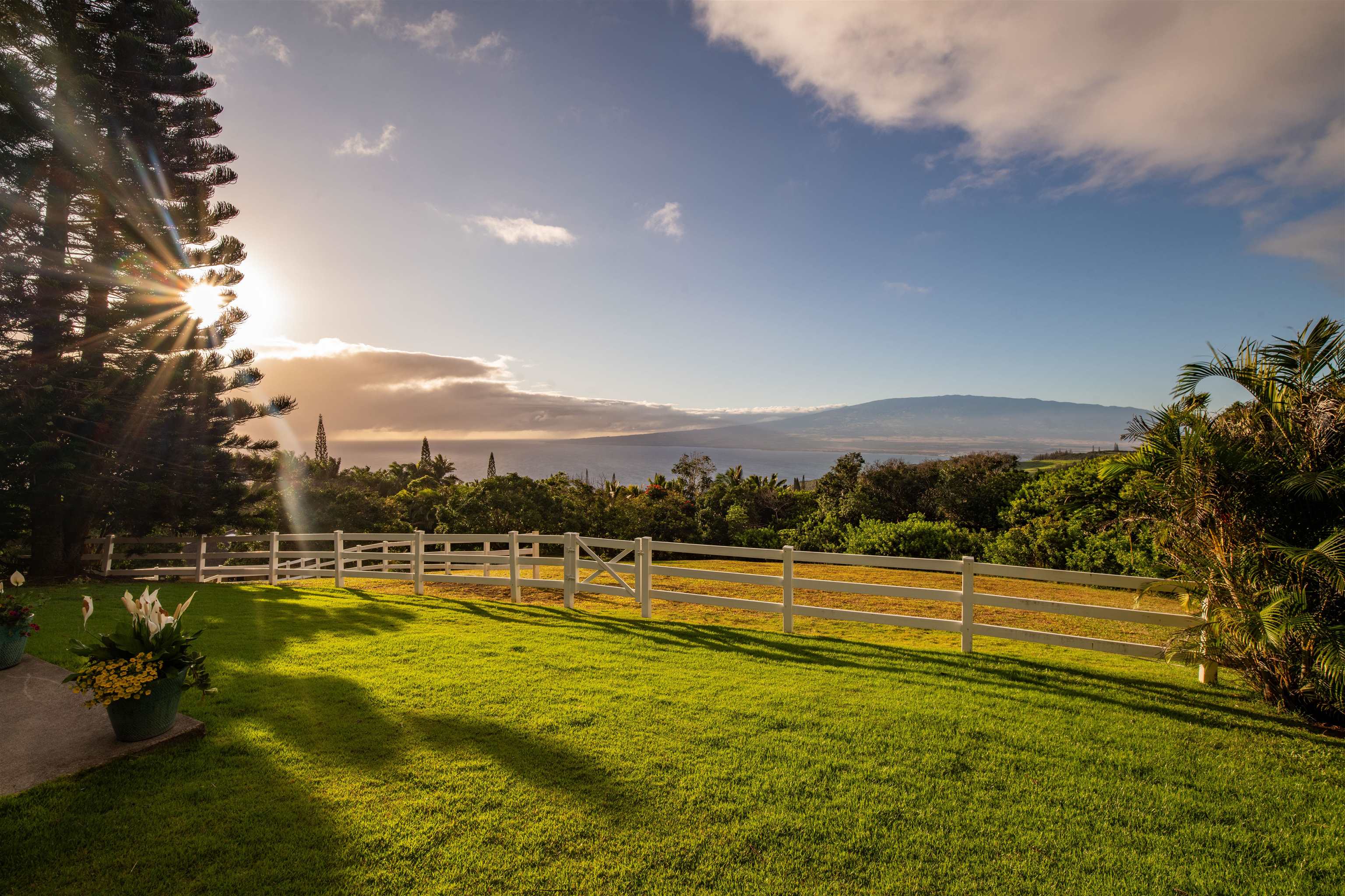21  Hulumanu Pl Kahakuloa, Wailuku home - photo 31 of 47
