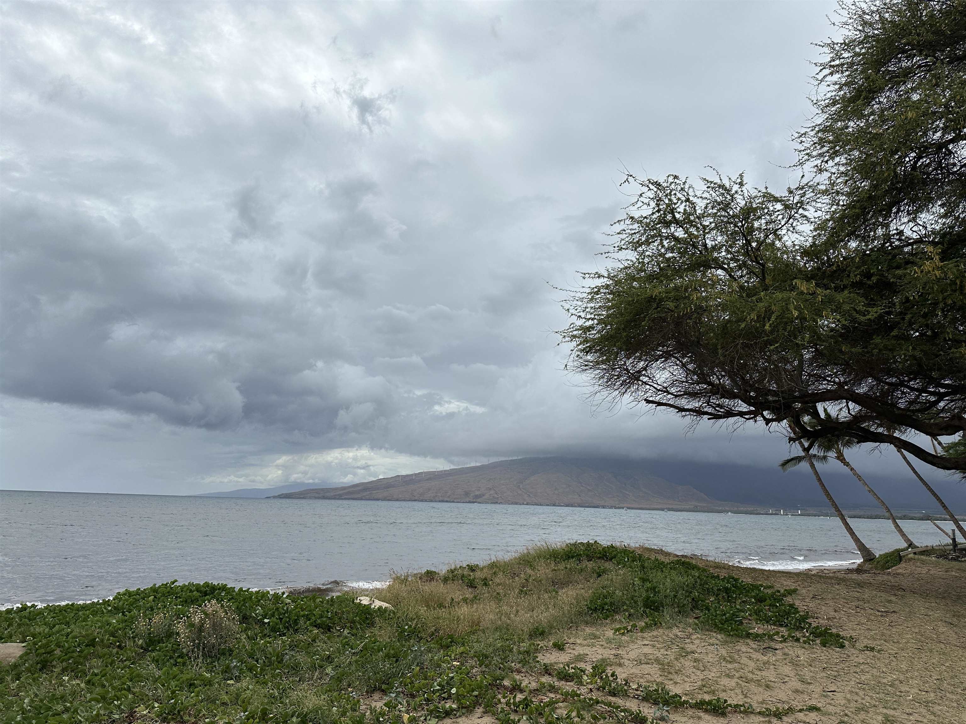 Kai Makani condo # G-101, Kihei, Hawaii - photo 35 of 37