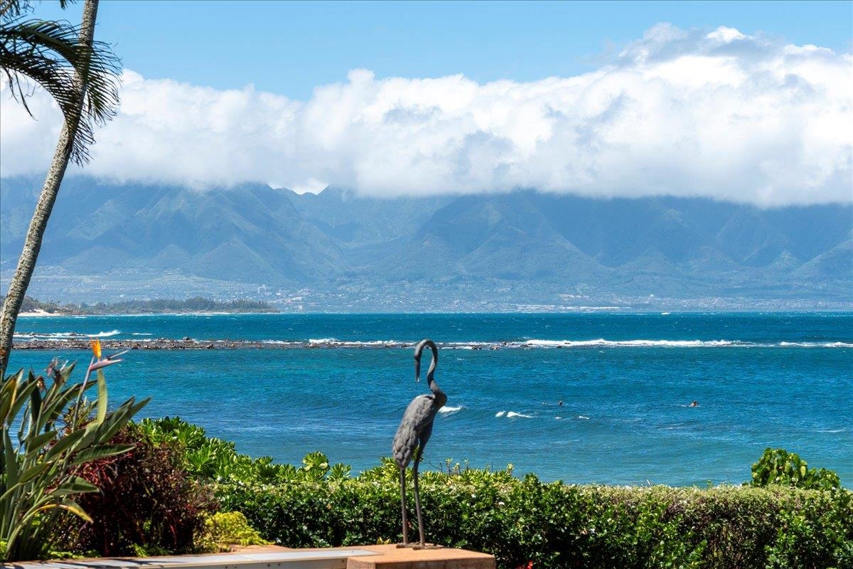 21  Kaulua Pl Ku'au, Spreckelsville/Paia/Kuau home - photo 42 of 47
