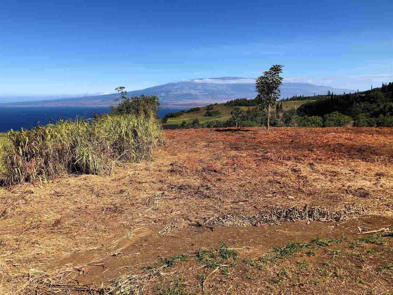 21 Lahaole Pl MCR 11 Wailuku, Hi vacant land for sale - photo 7 of 27