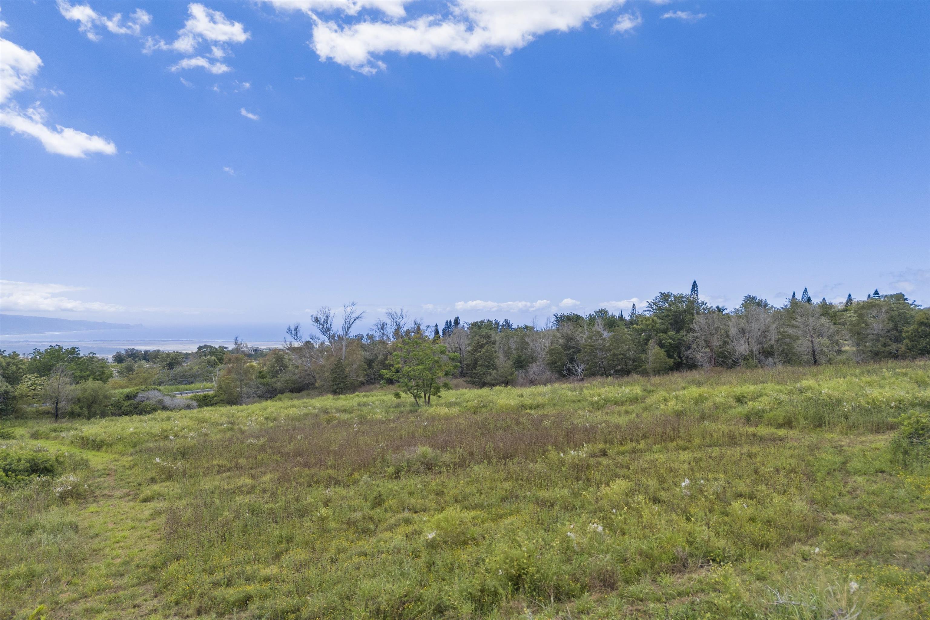 21 Noholoa Pl #2 and #3 Kula, Hi vacant land for sale - photo 2 of 16