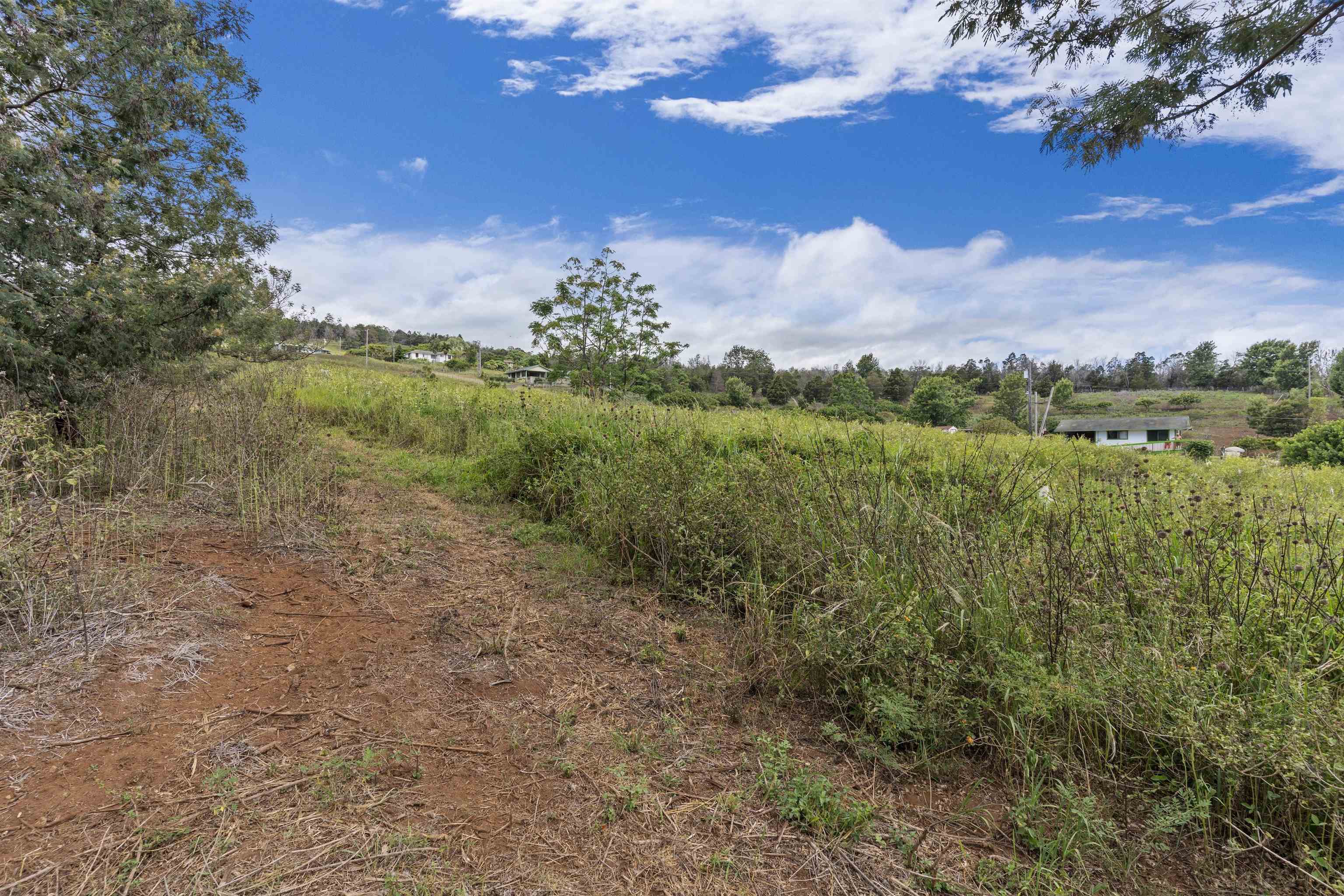 21 Noholoa Pl #2 and #3 Kula, Hi vacant land for sale - photo 11 of 16