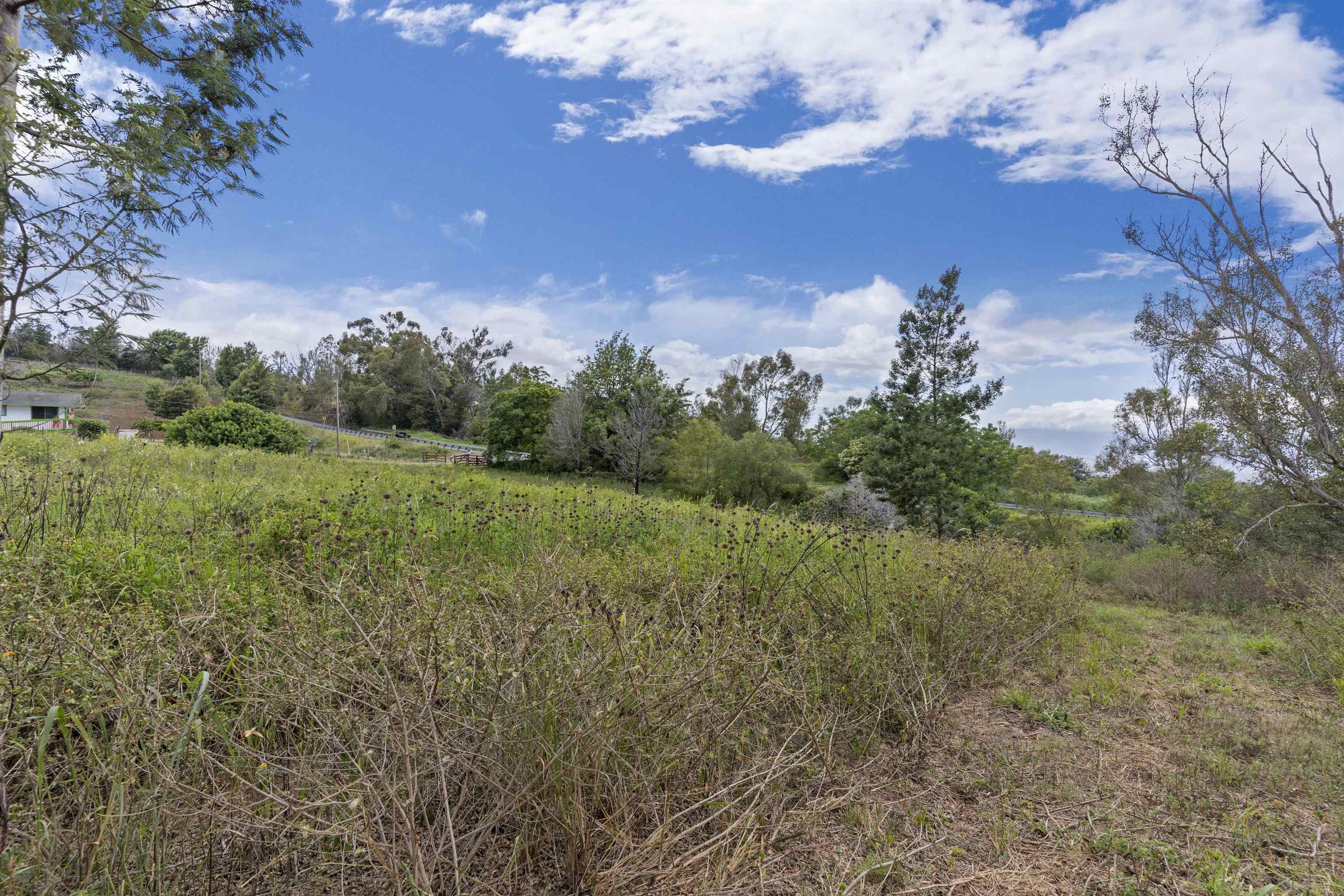 21 Noholoa Pl #2 and #3 Kula, Hi vacant land for sale - photo 12 of 16