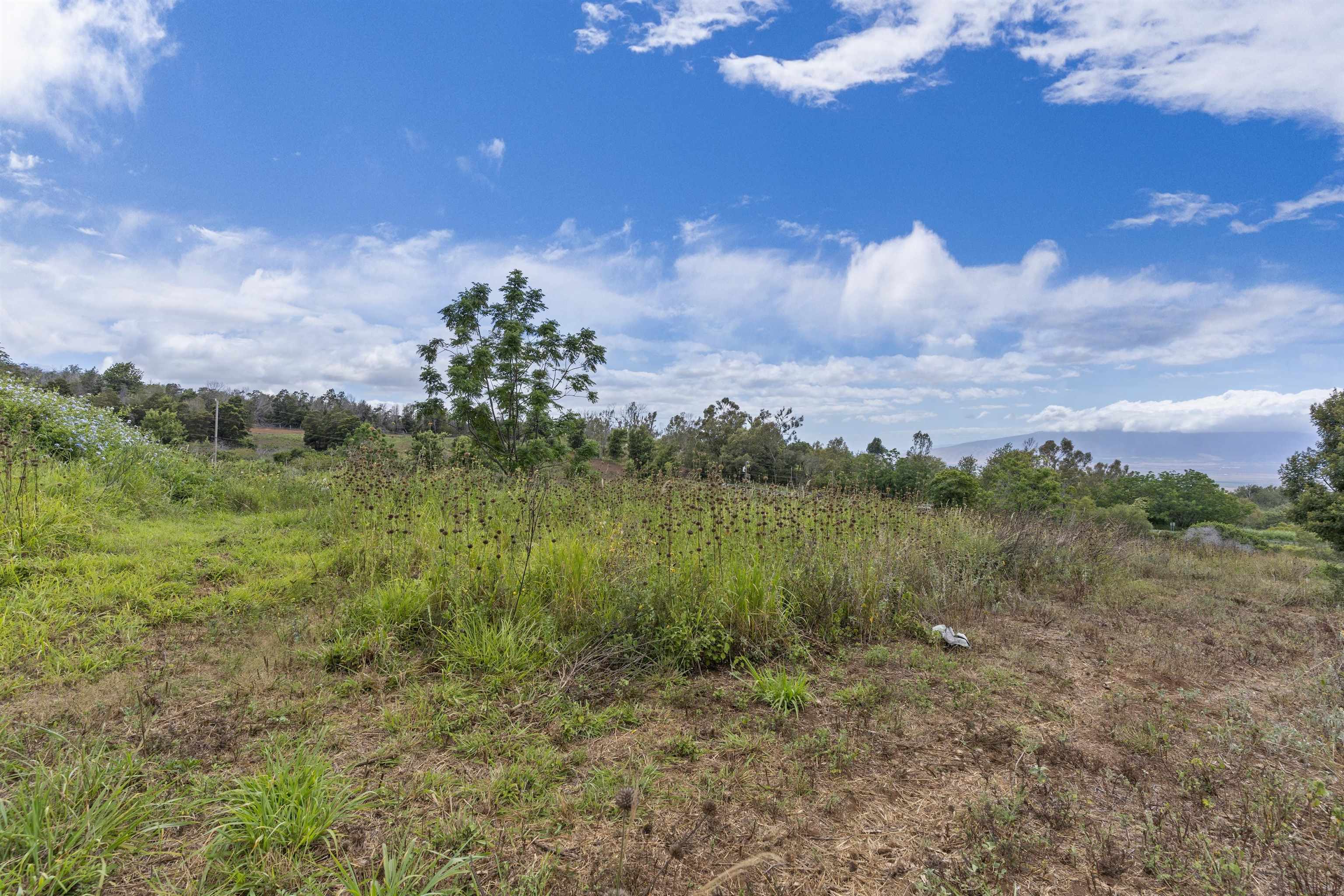 21 Noholoa Pl #2 and #3 Kula, Hi vacant land for sale - photo 13 of 16