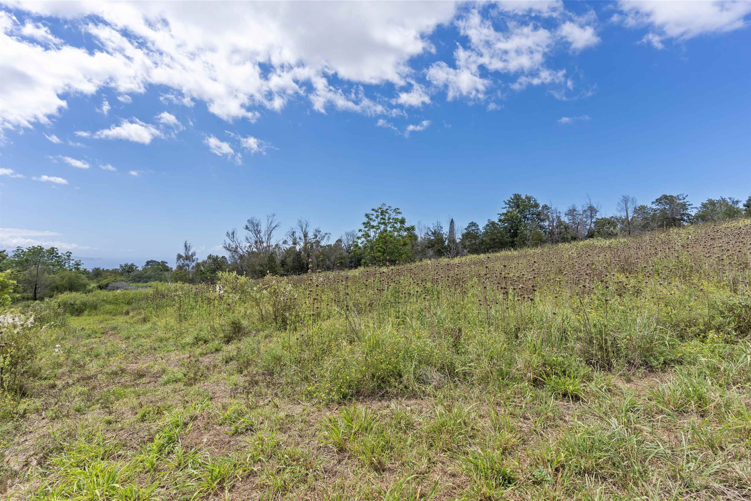 21 Noholoa Pl #2 and #3 Kula, Hi vacant land for sale - photo 14 of 16