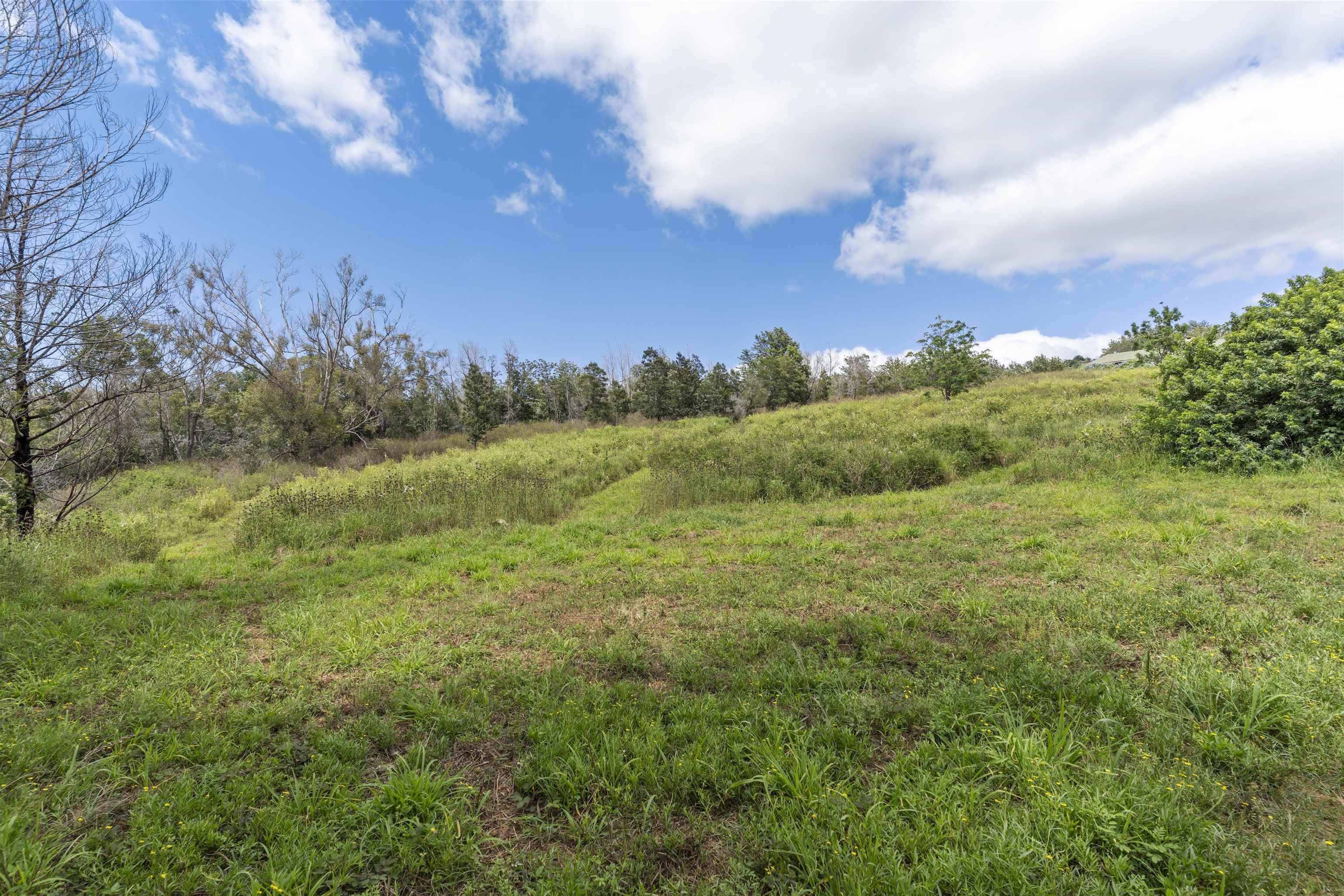 21 Noholoa Pl #2 and #3 Kula, Hi vacant land for sale - photo 16 of 16