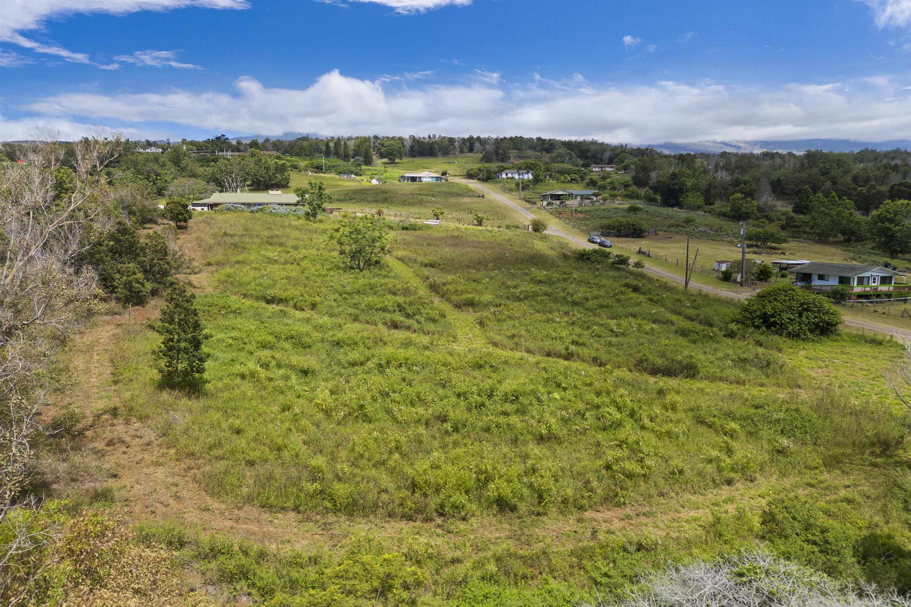 21 Noholoa Pl #2 and #3 Kula, Hi vacant land for sale - photo 6 of 16