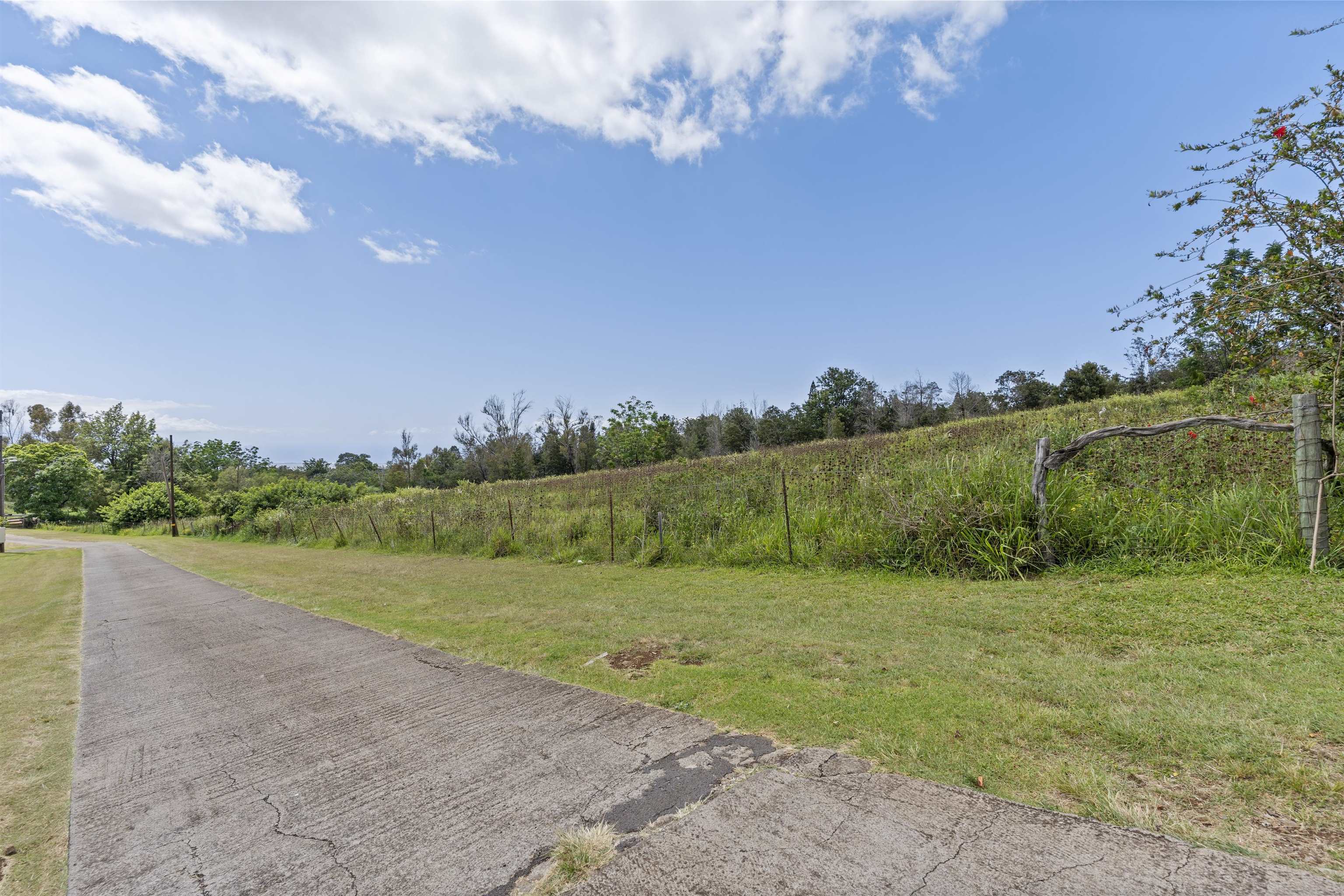 21 Noholoa Pl #2 and #3 Kula, Hi vacant land for sale - photo 8 of 16