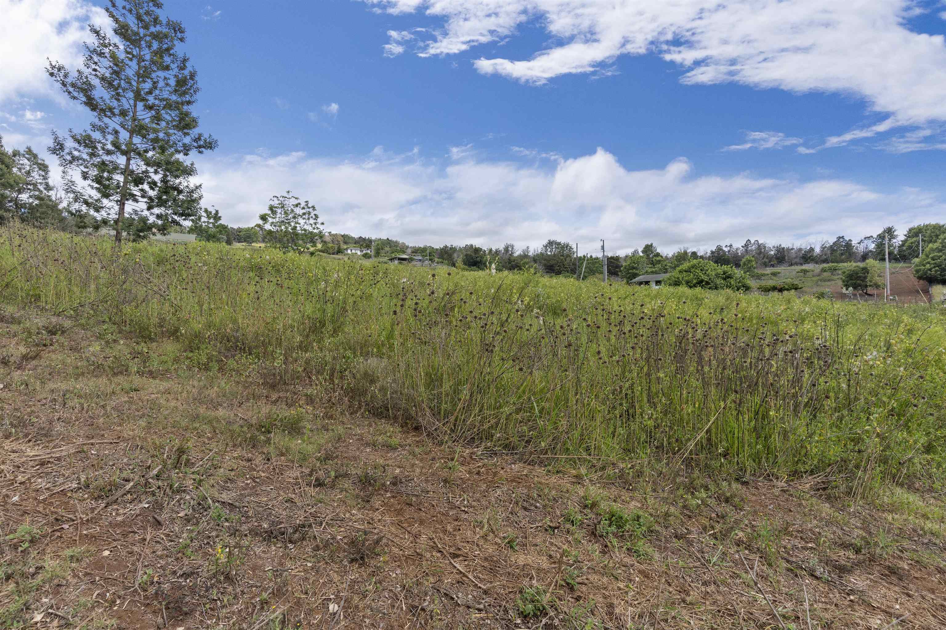 21 Noholoa Pl #2 and #3 Kula, Hi vacant land for sale - photo 10 of 16