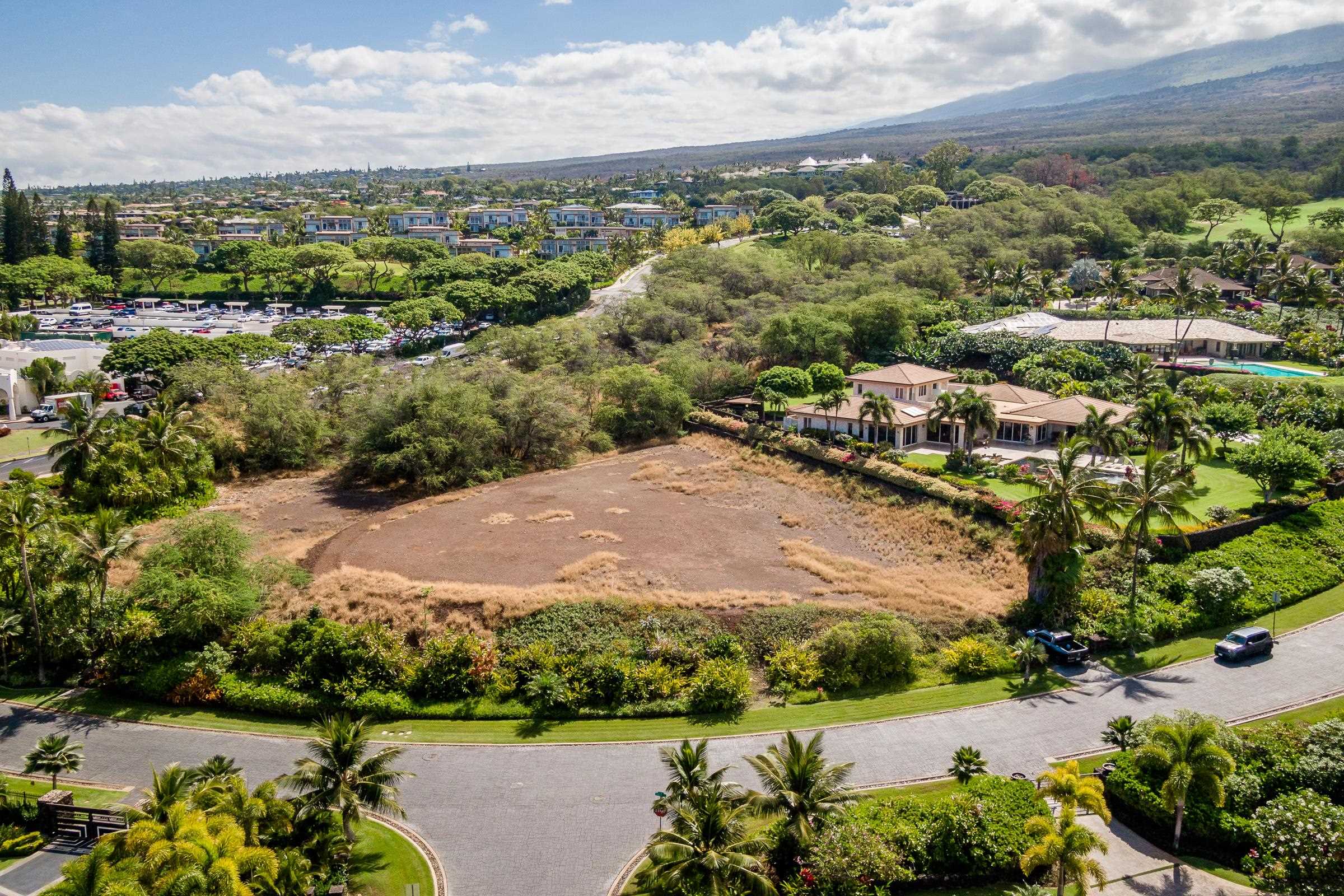 21 Ualei Pl 1 Kihei, Hi vacant land for sale - photo 7 of 29