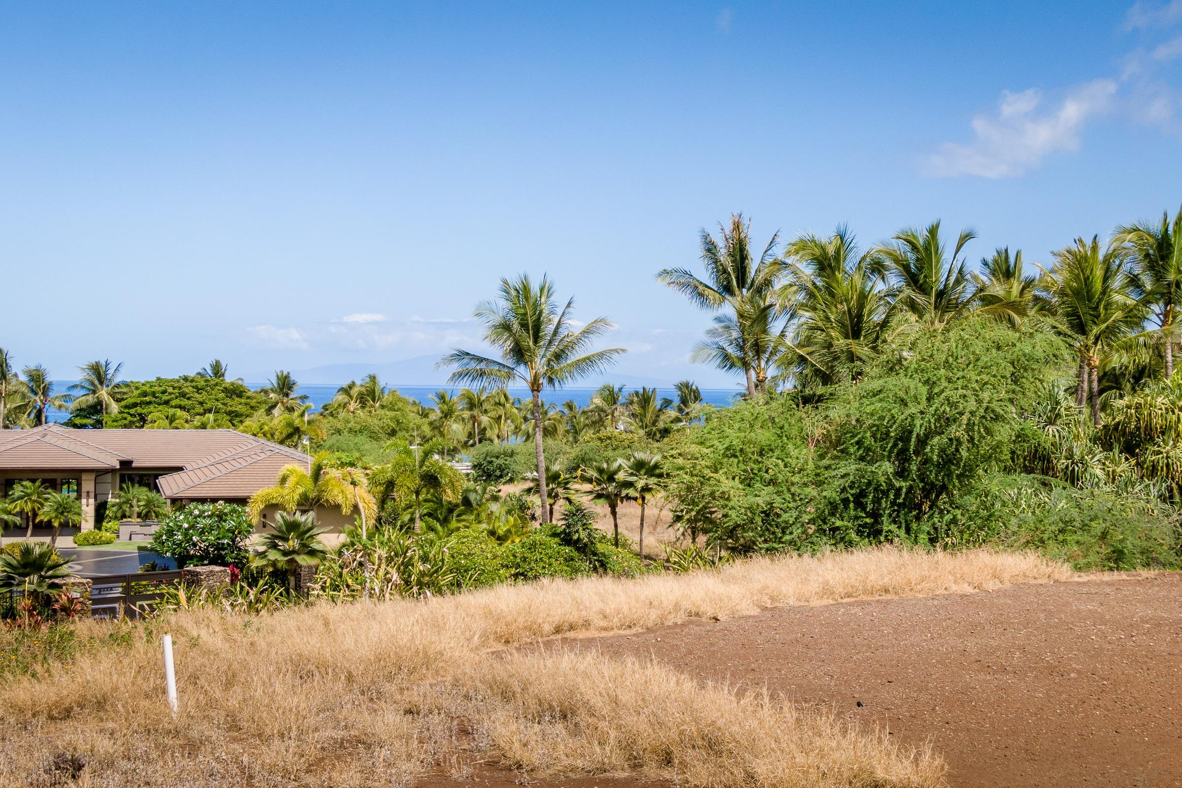 21 Ualei Pl 1 Kihei, Hi vacant land for sale - photo 18 of 29