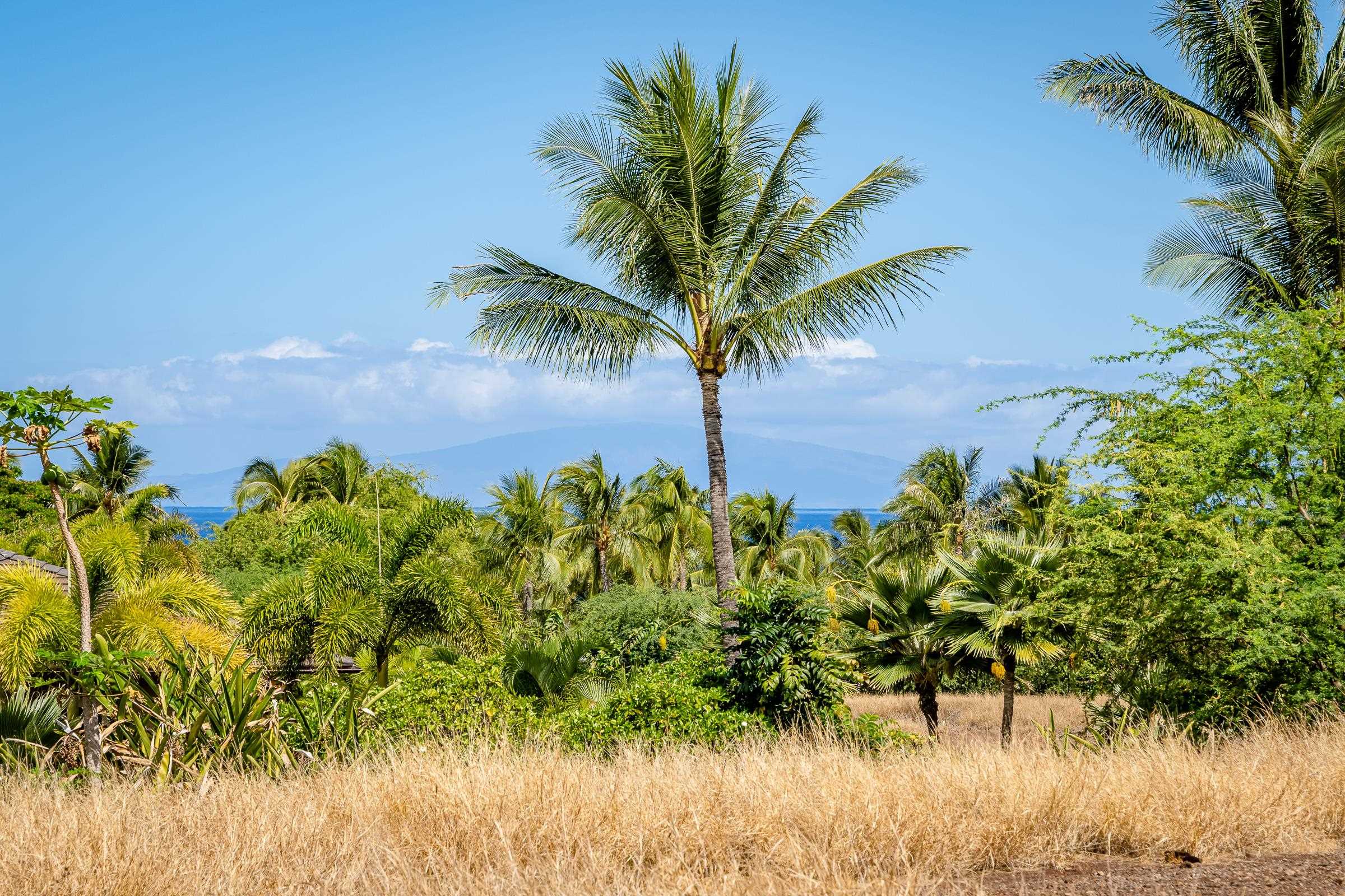 21 Ualei Pl 1 Kihei, Hi vacant land for sale - photo 20 of 29