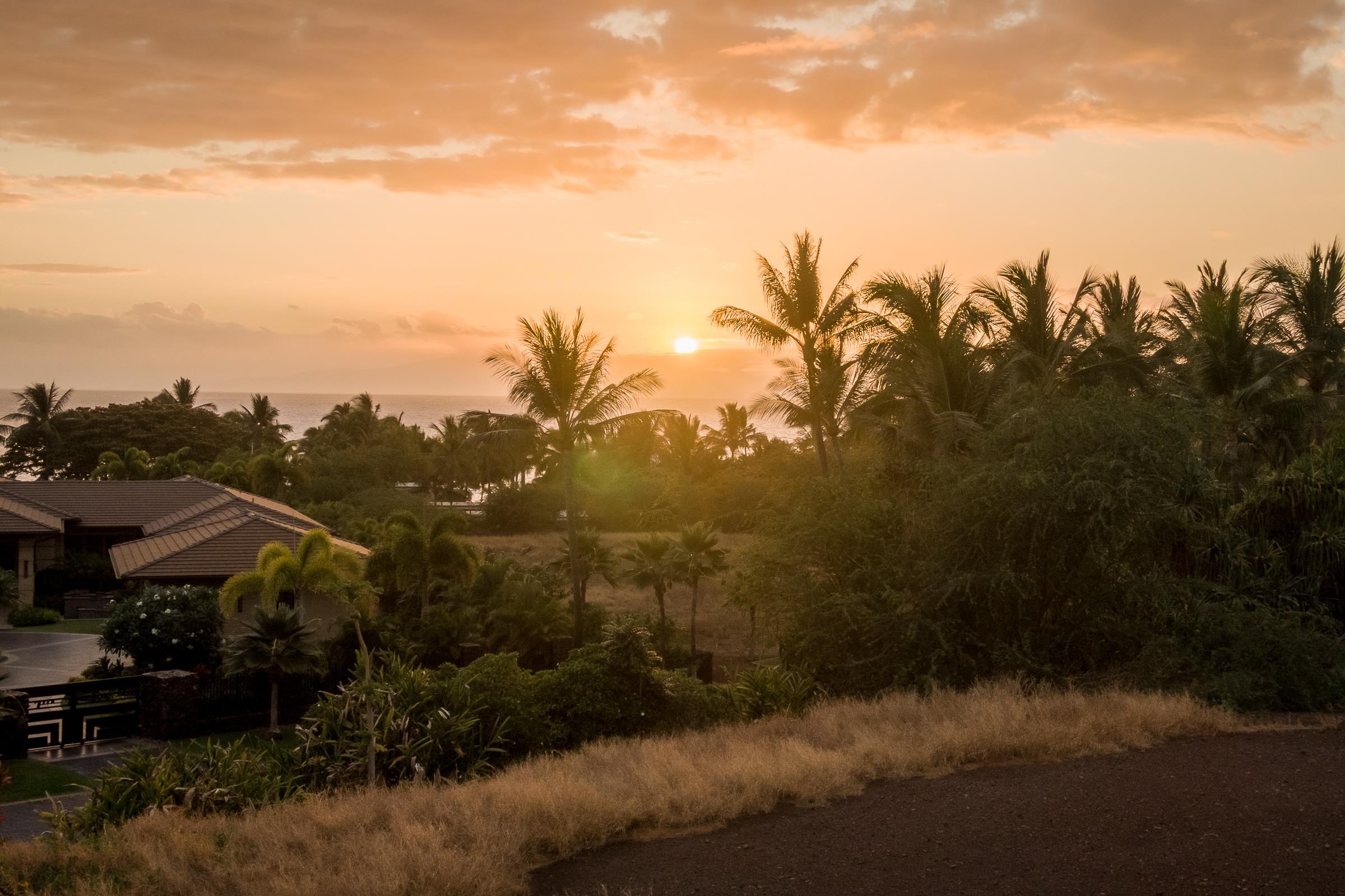 21 Ualei Pl 1 Kihei, Hi vacant land for sale - photo 29 of 29