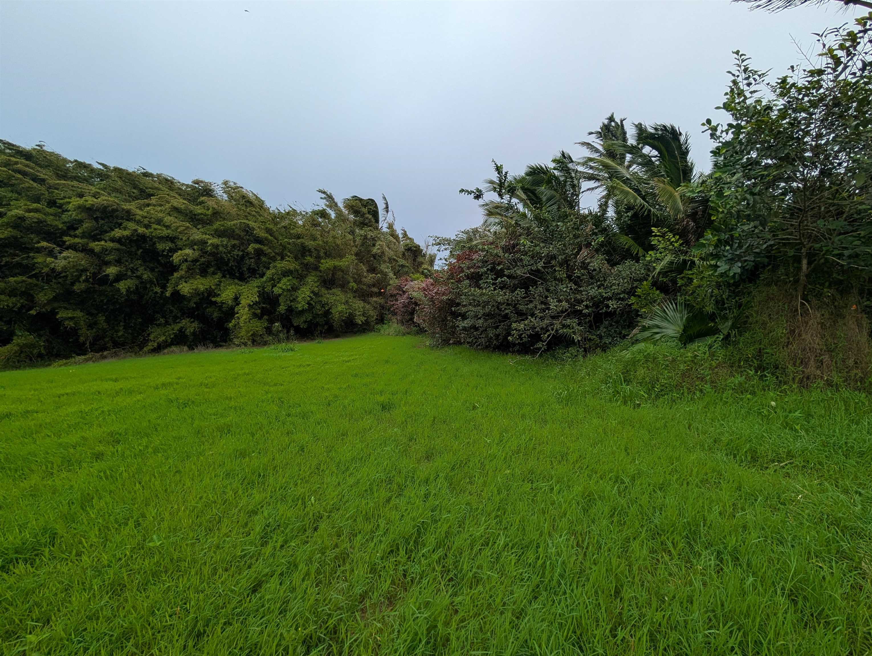 210  Door Of Faith Rd Huelo, Haiku home - photo 12 of 25