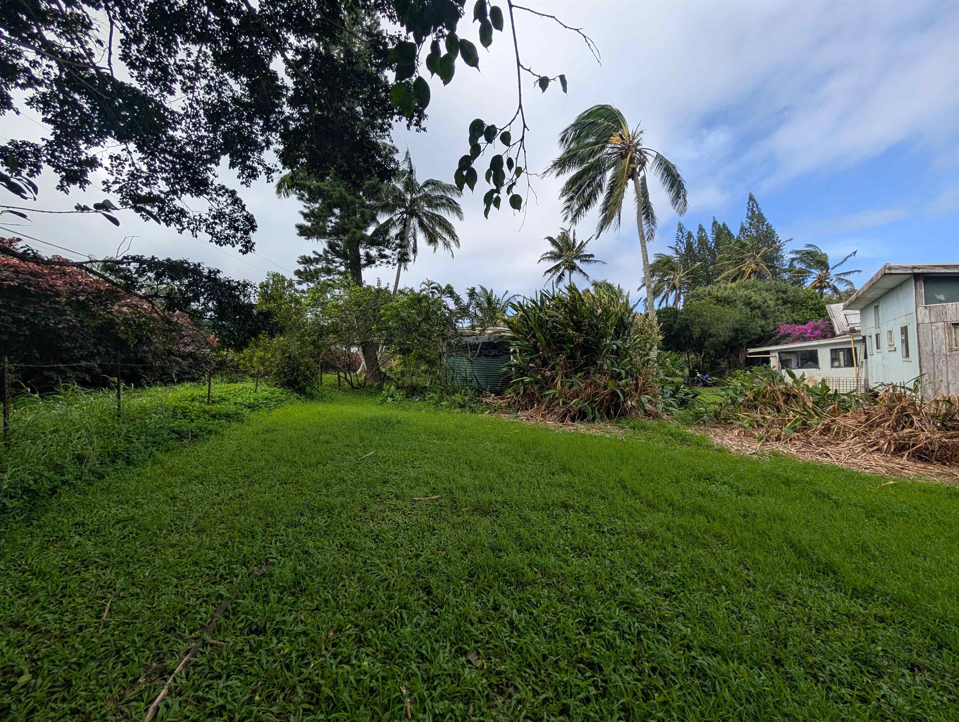 210  Door Of Faith Rd Huelo, Haiku home - photo 14 of 25
