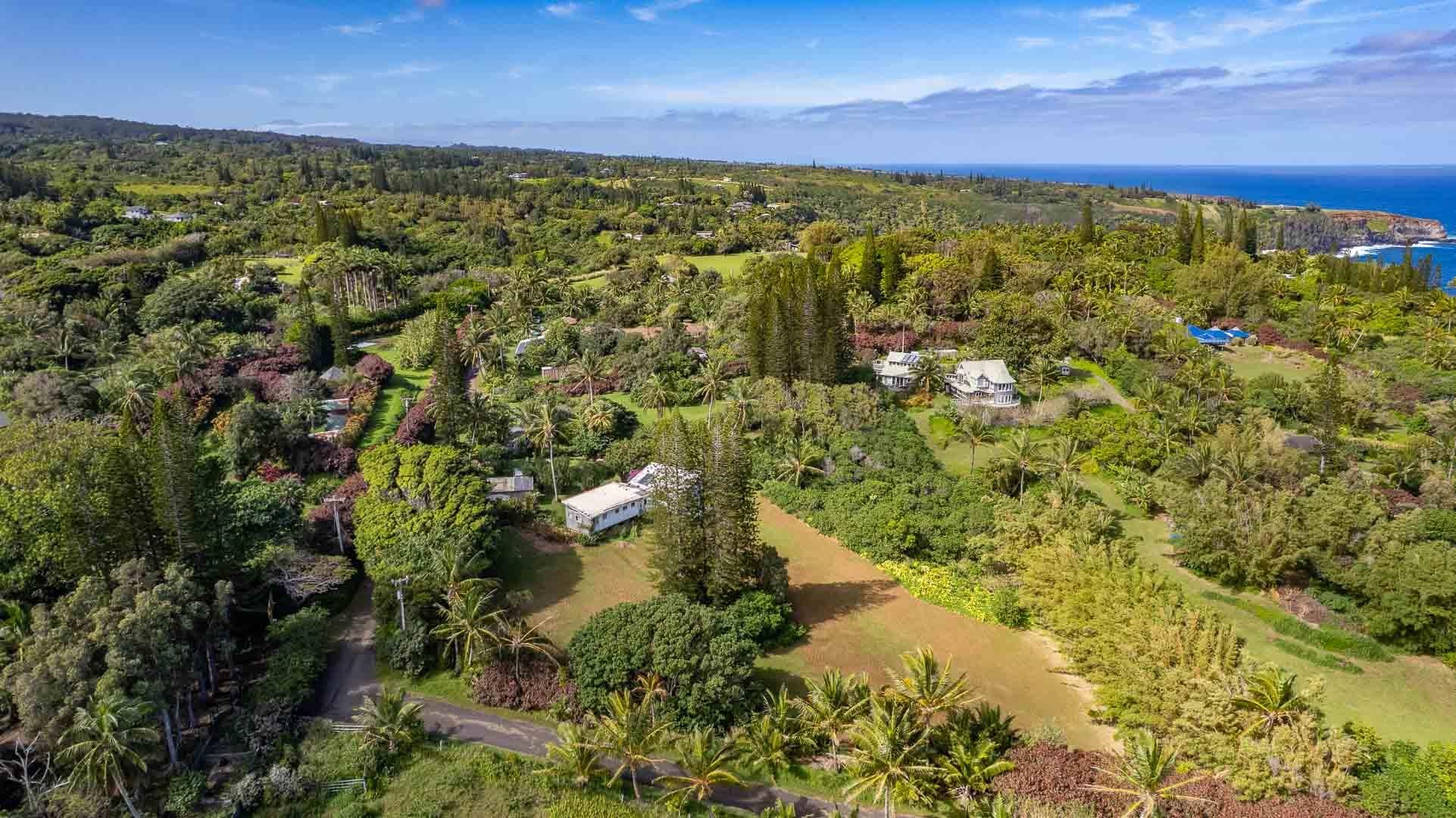 210  Door Of Faith Rd Huelo, Haiku home - photo 17 of 46