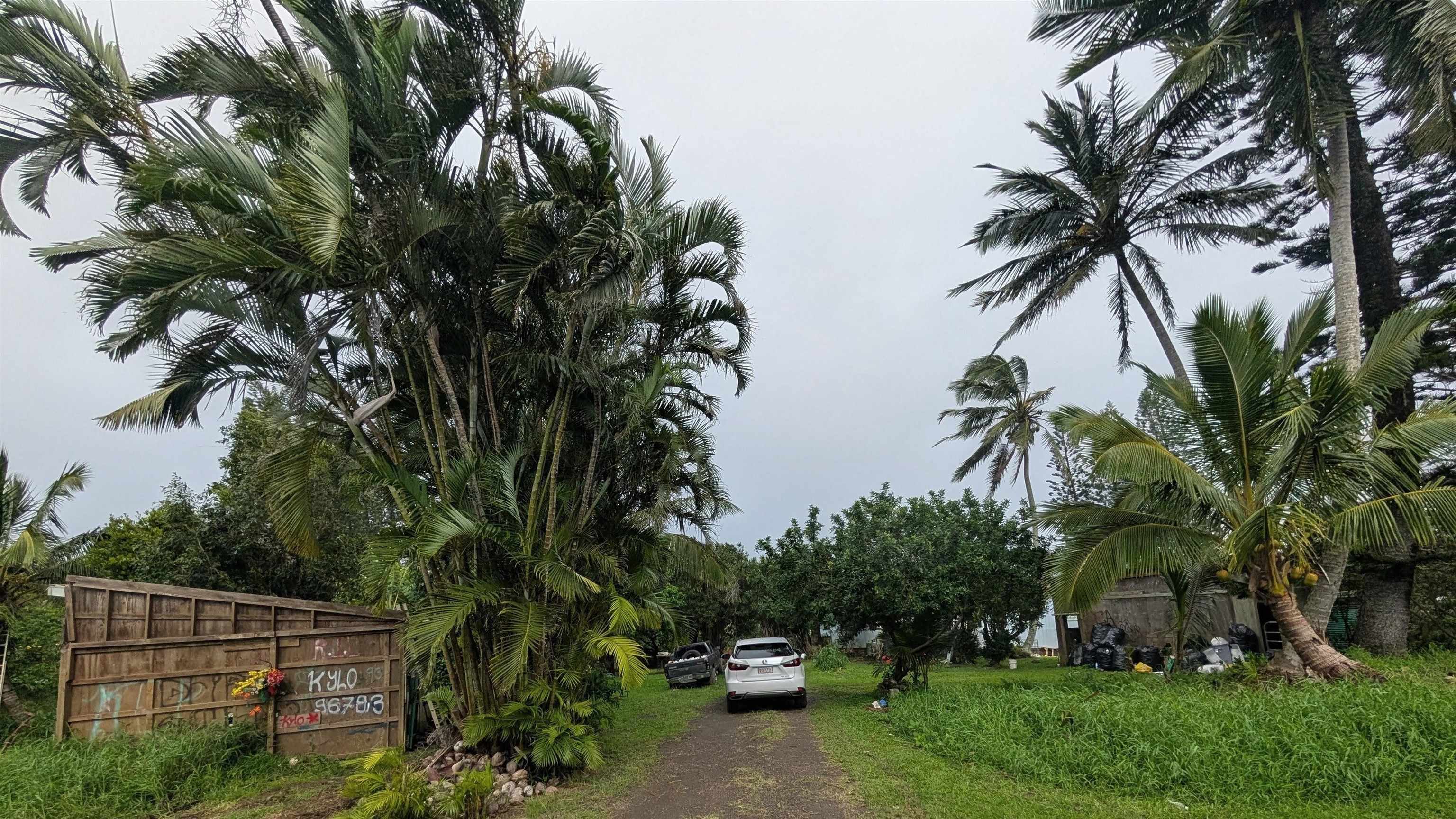 210  Door Of Faith Rd Huelo, Haiku home - photo 3 of 25