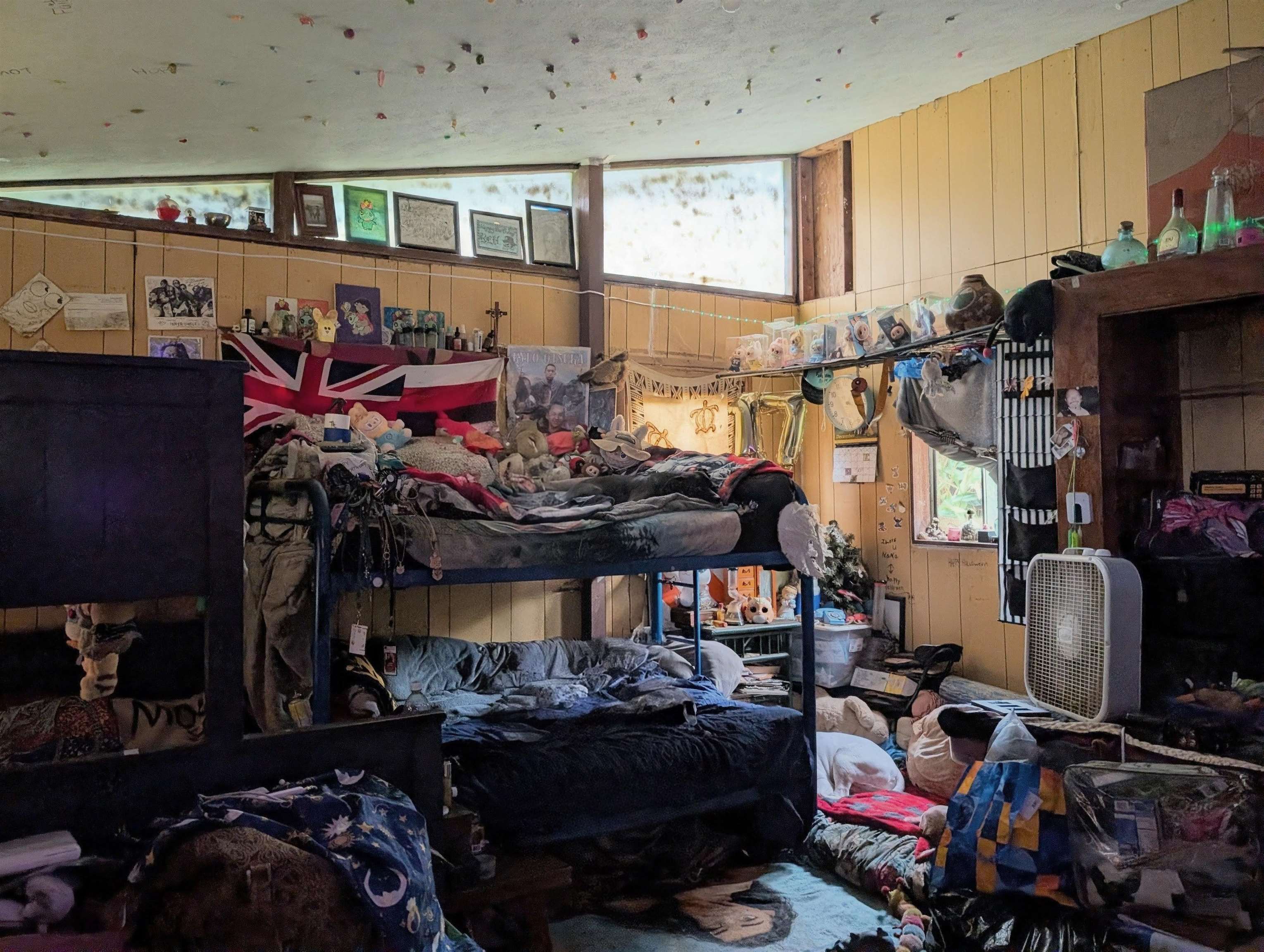 210  Door Of Faith Rd Huelo, Haiku home - photo 41 of 46