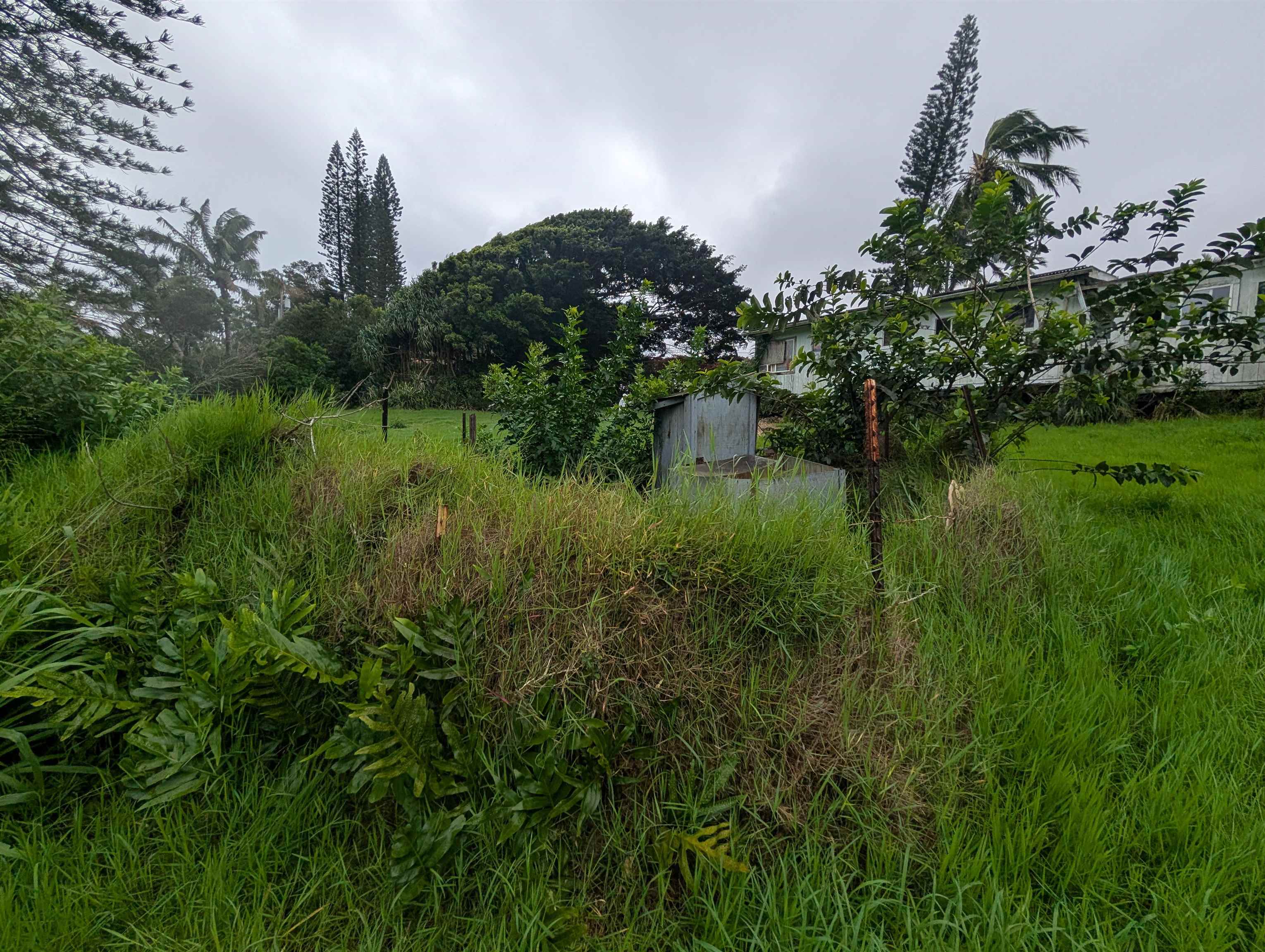 210  Door Of Faith Rd Huelo, Haiku home - photo 43 of 46