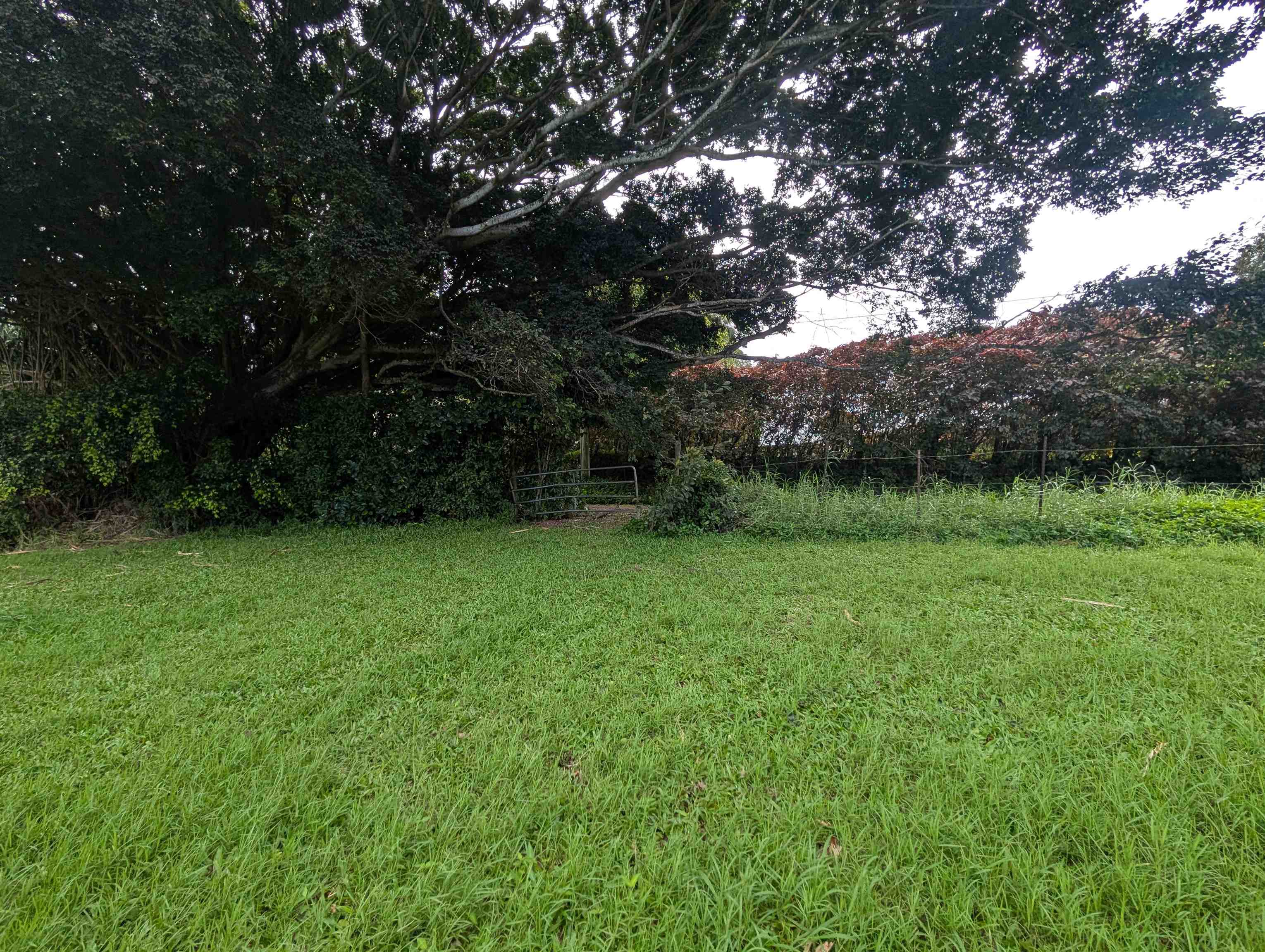 210  Door Of Faith Rd Huelo, Haiku home - photo 45 of 46