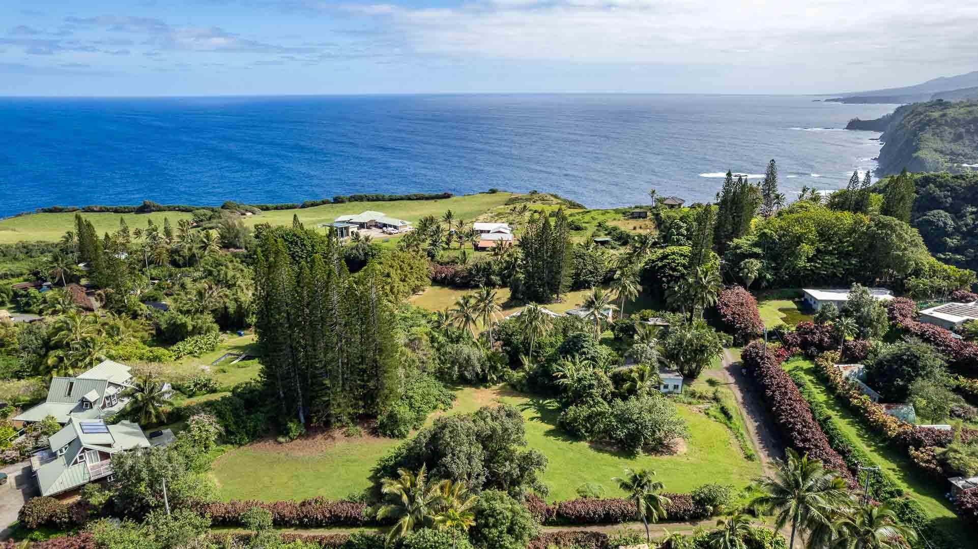 210  Door Of Faith Rd Huelo, Haiku home - photo 10 of 46