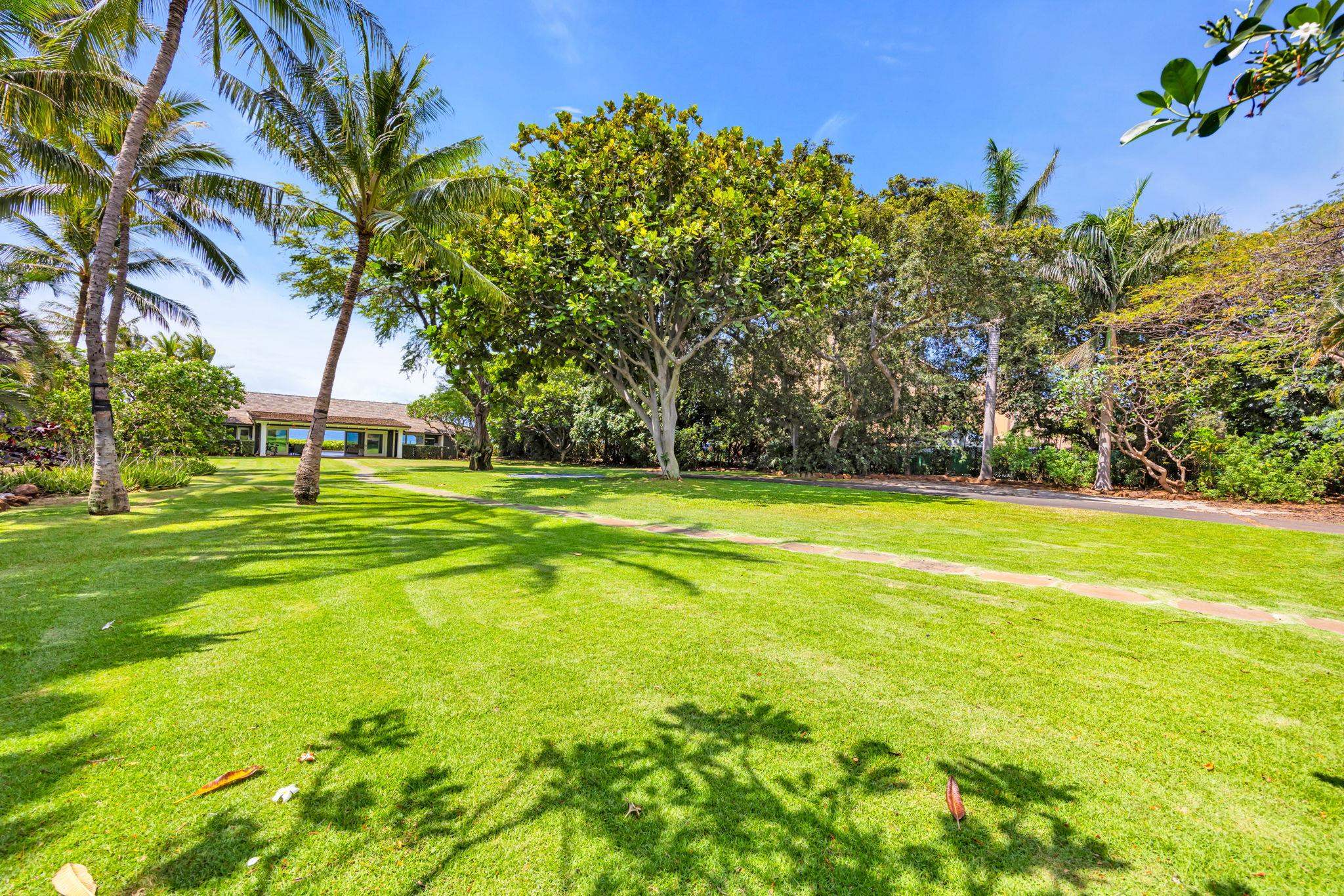 210  Hauoli St Maalaea, Wailuku home - photo 43 of 50