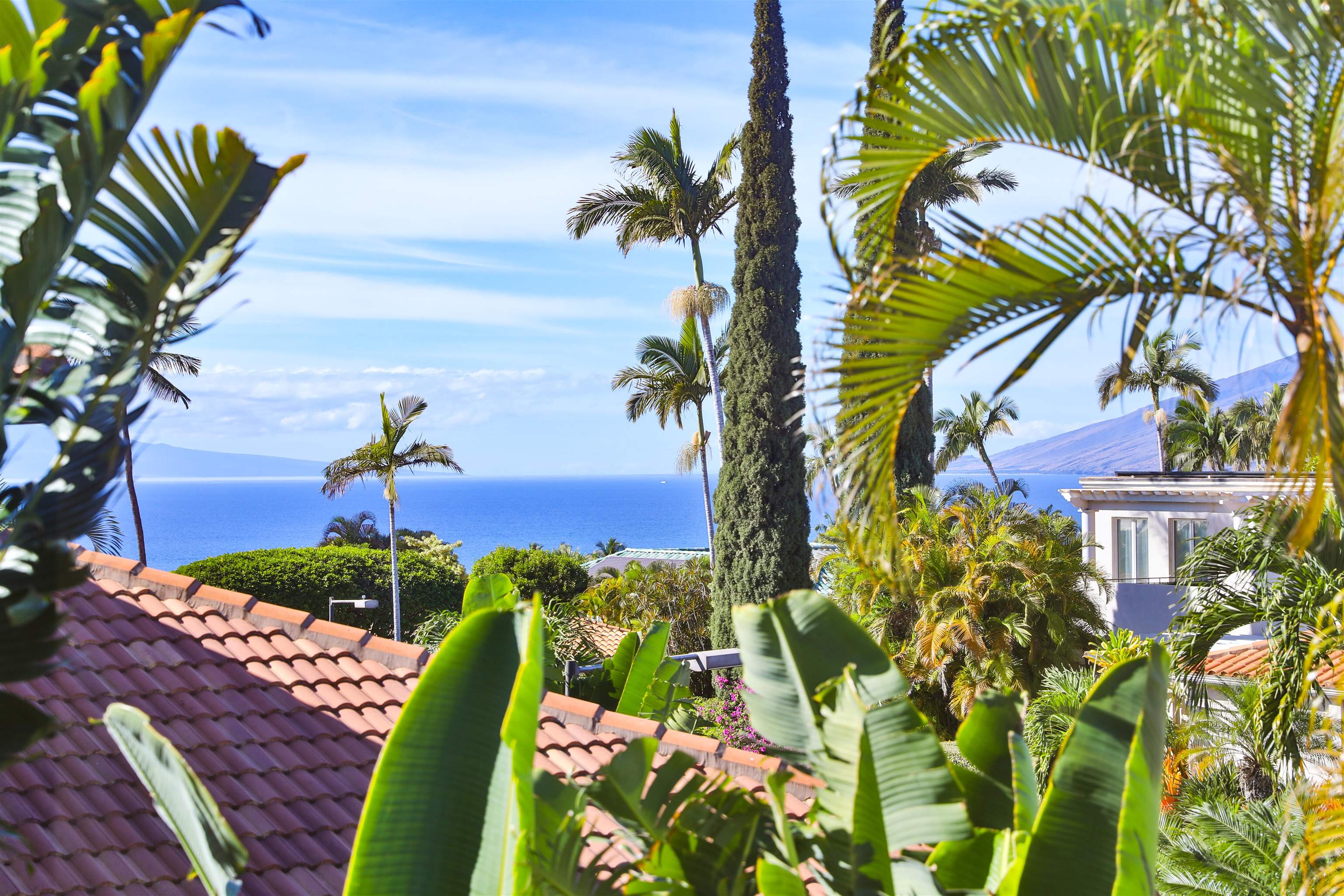 210  Panana Pl Wailea, Wailea/Makena home - photo 28 of 48