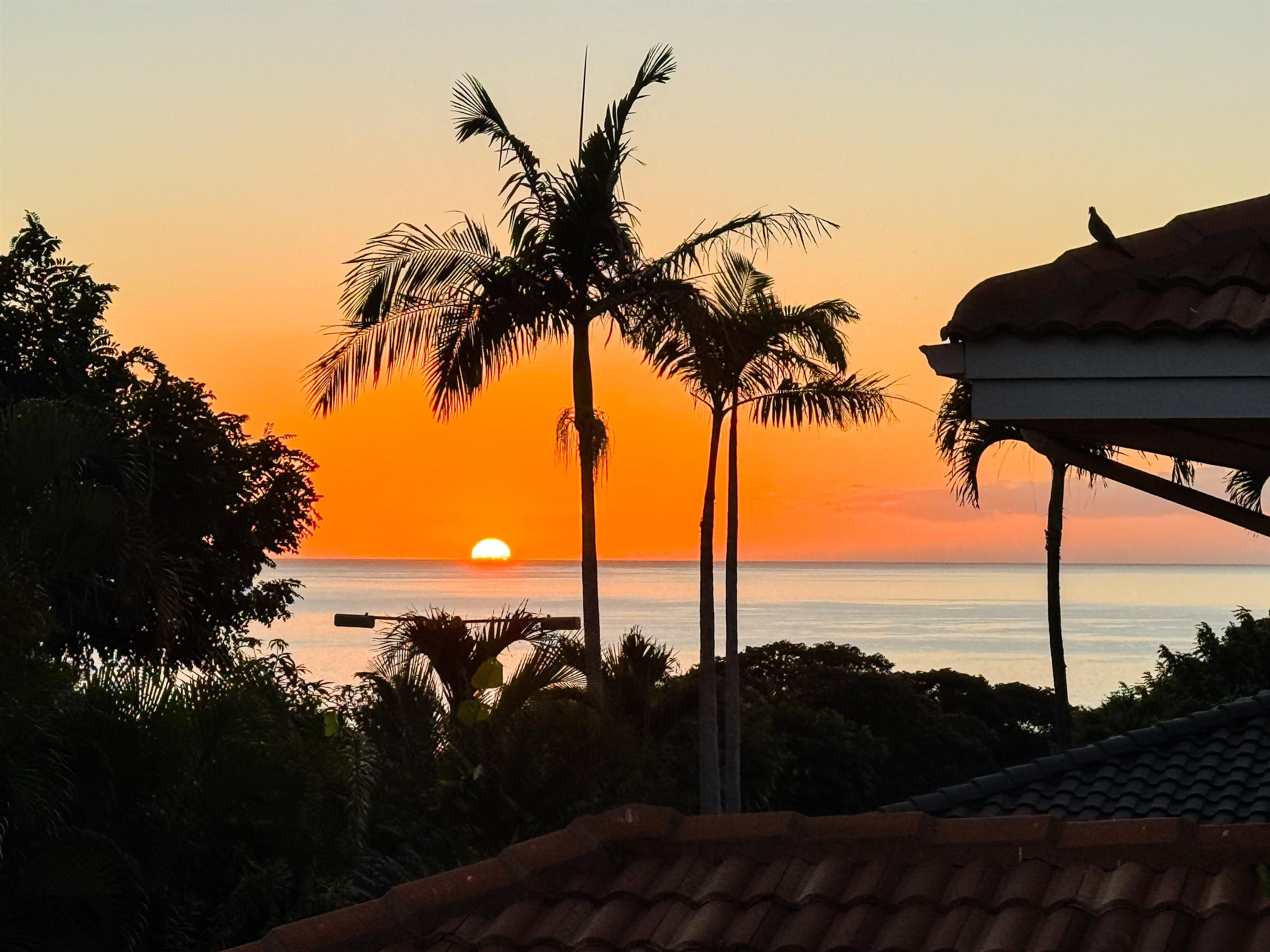 210  Panana Pl Wailea, Wailea/Makena home - photo 2 of 47