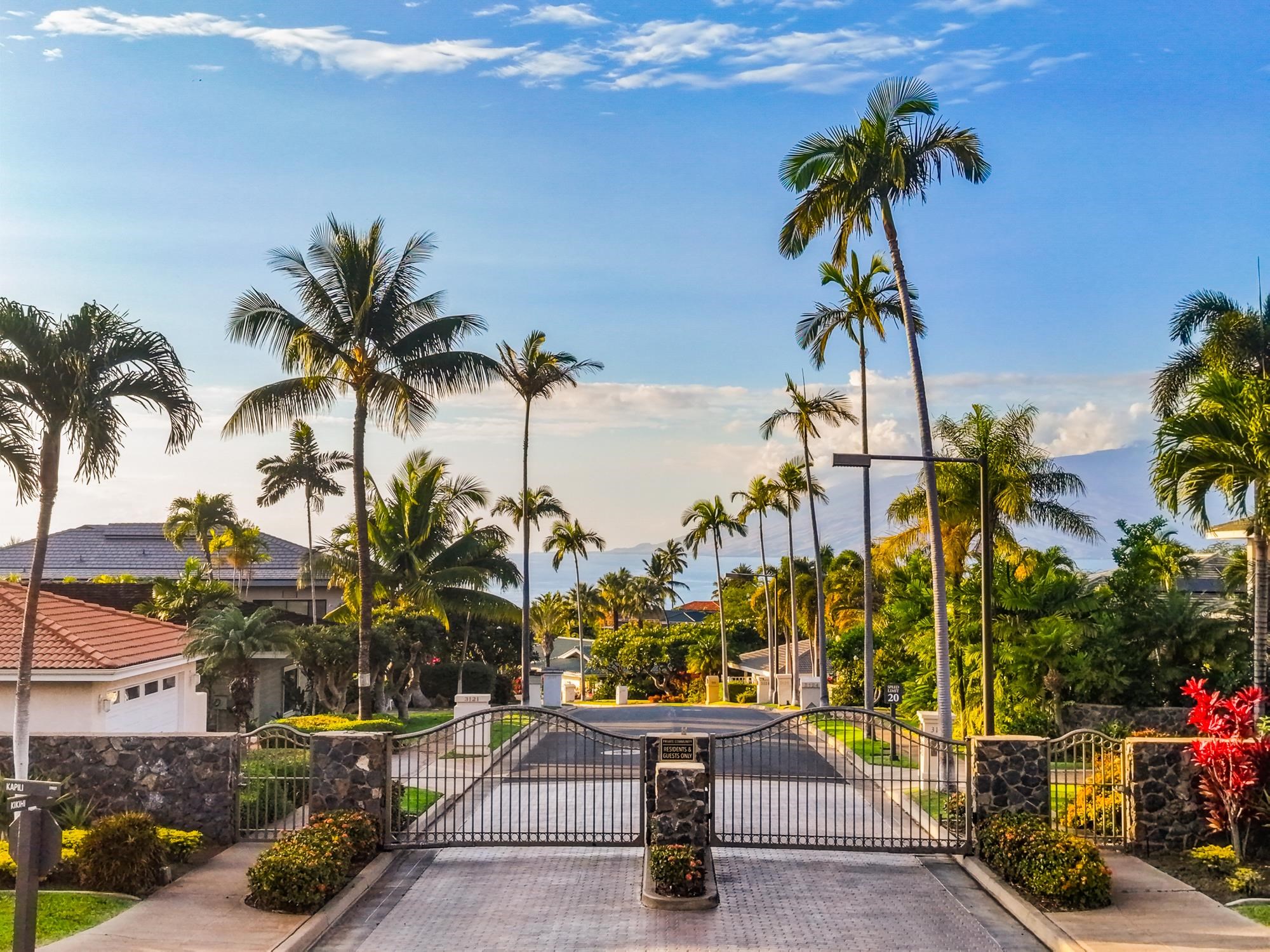 210  Panana Pl Wailea, Wailea/Makena home - photo 3 of 41