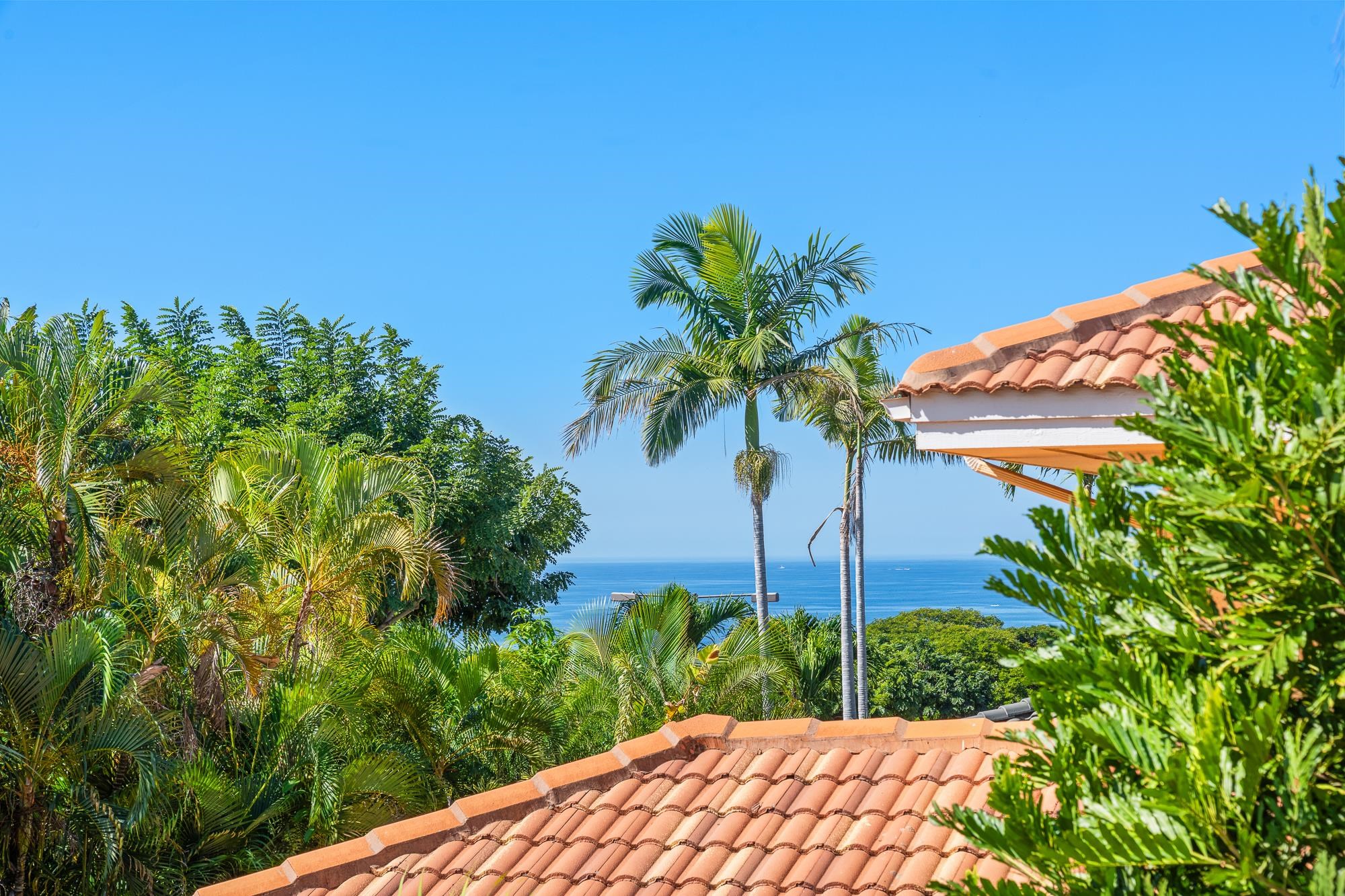 210  Panana Pl Wailea, Wailea/Makena home - photo 38 of 41