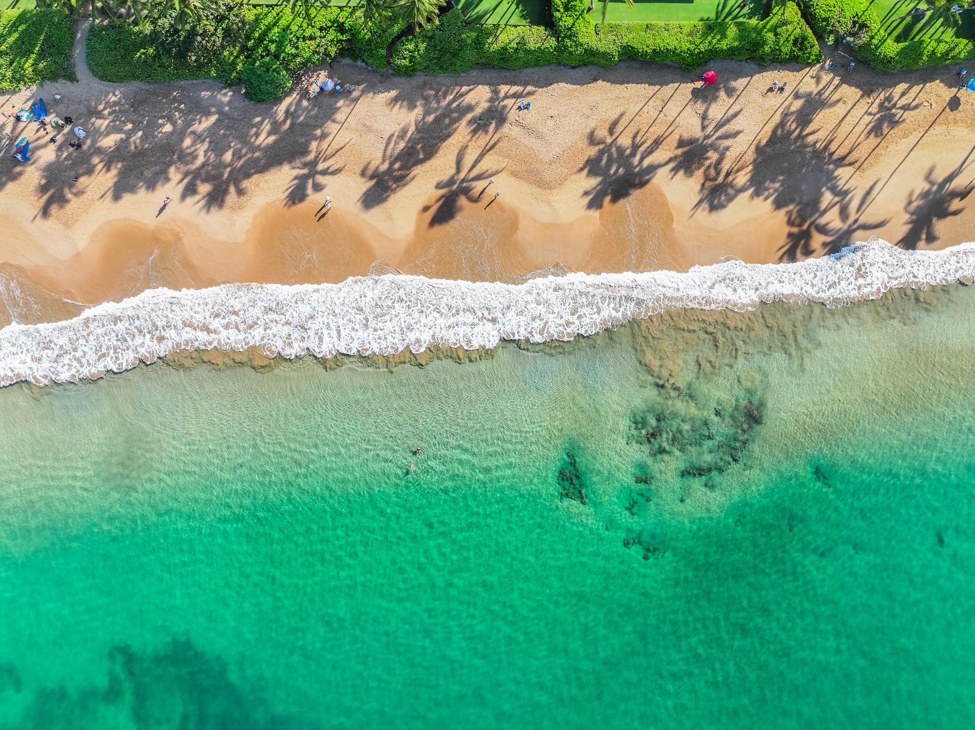 210  Panana Pl Wailea, Wailea/Makena home - photo 40 of 41