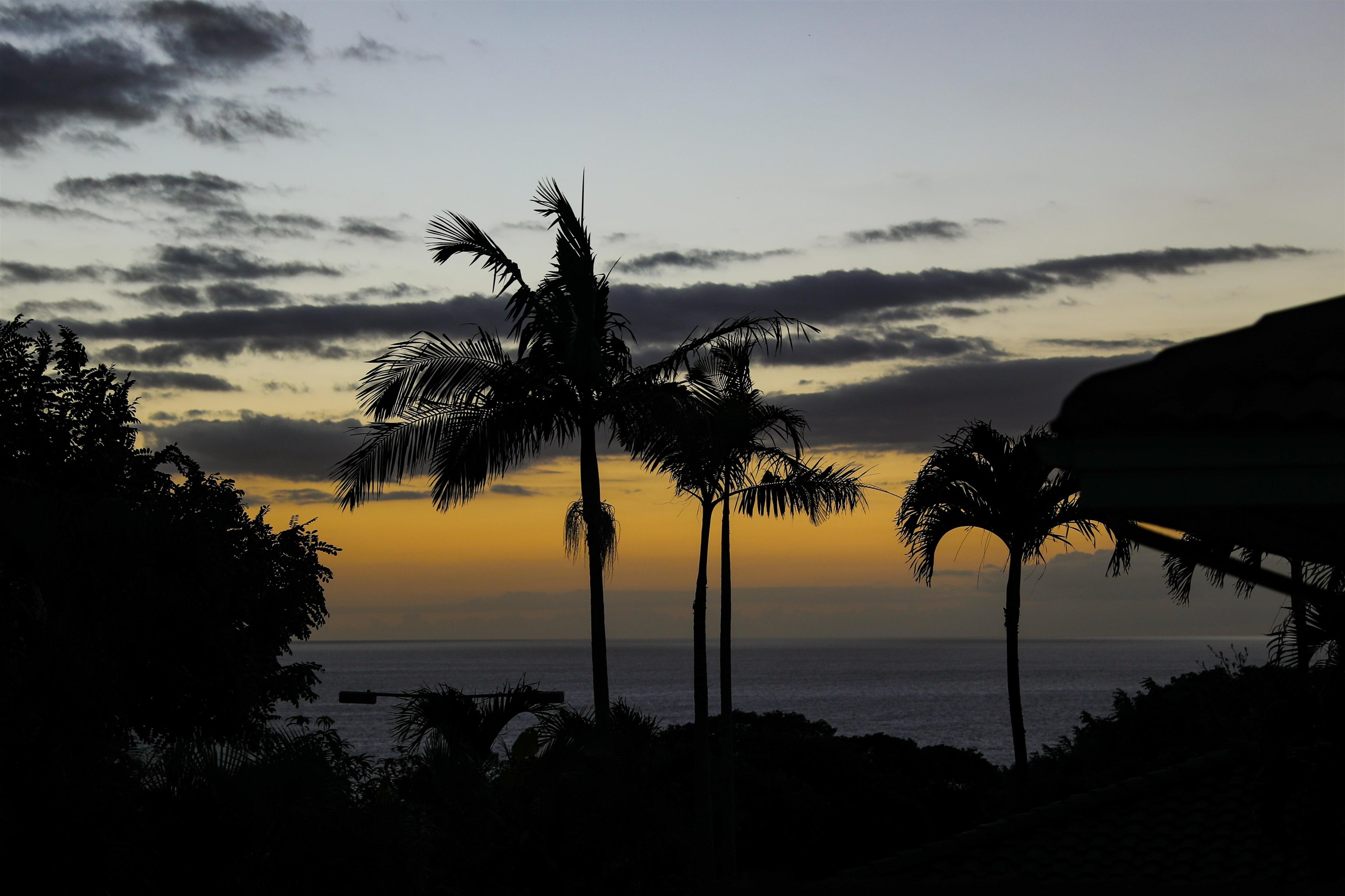 210  Panana Pl Wailea, Wailea/Makena home - photo 41 of 41