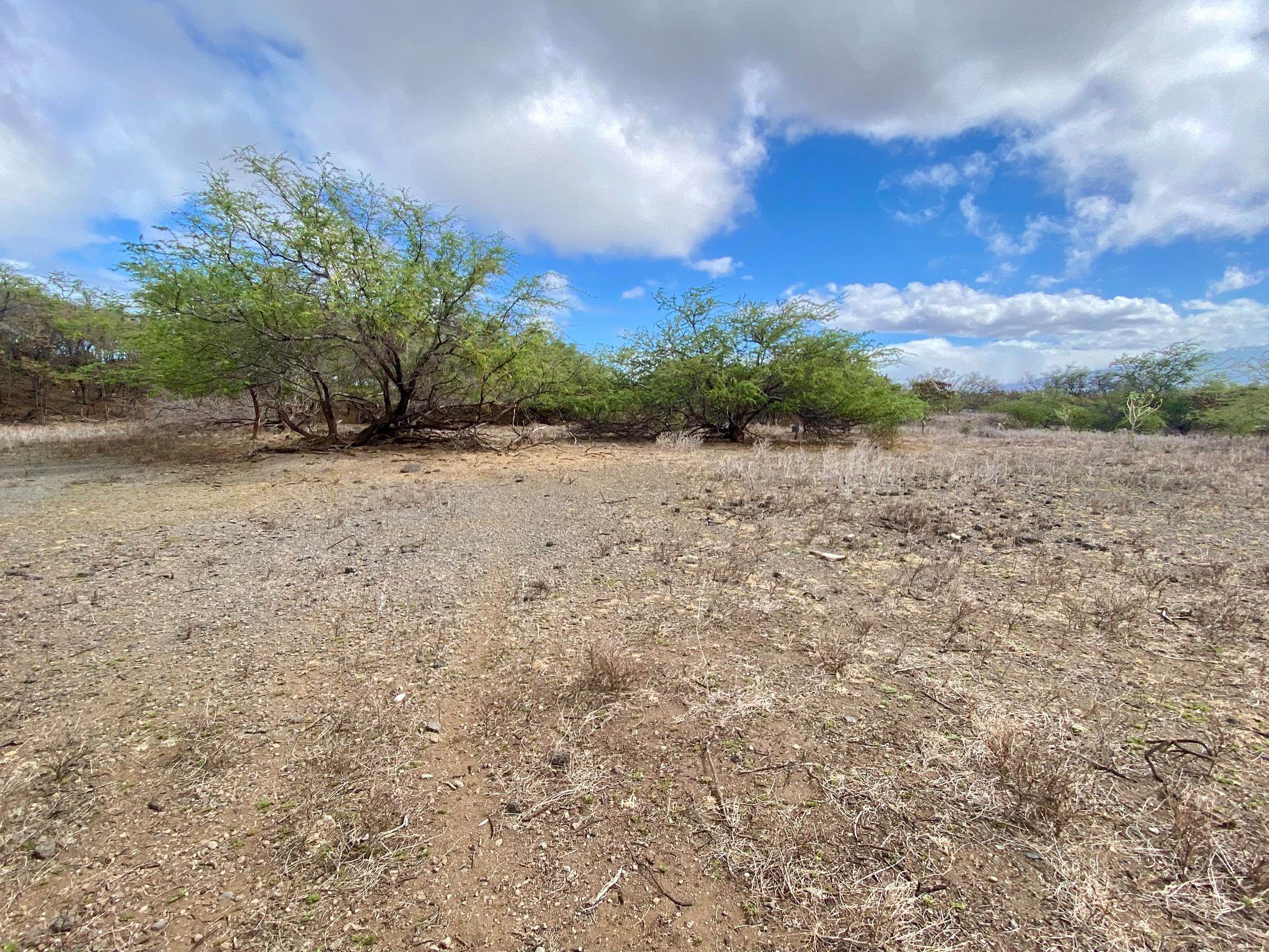 2100 Honoapiilani Hwy  Wailuku, Hi vacant land for sale - photo 11 of 11