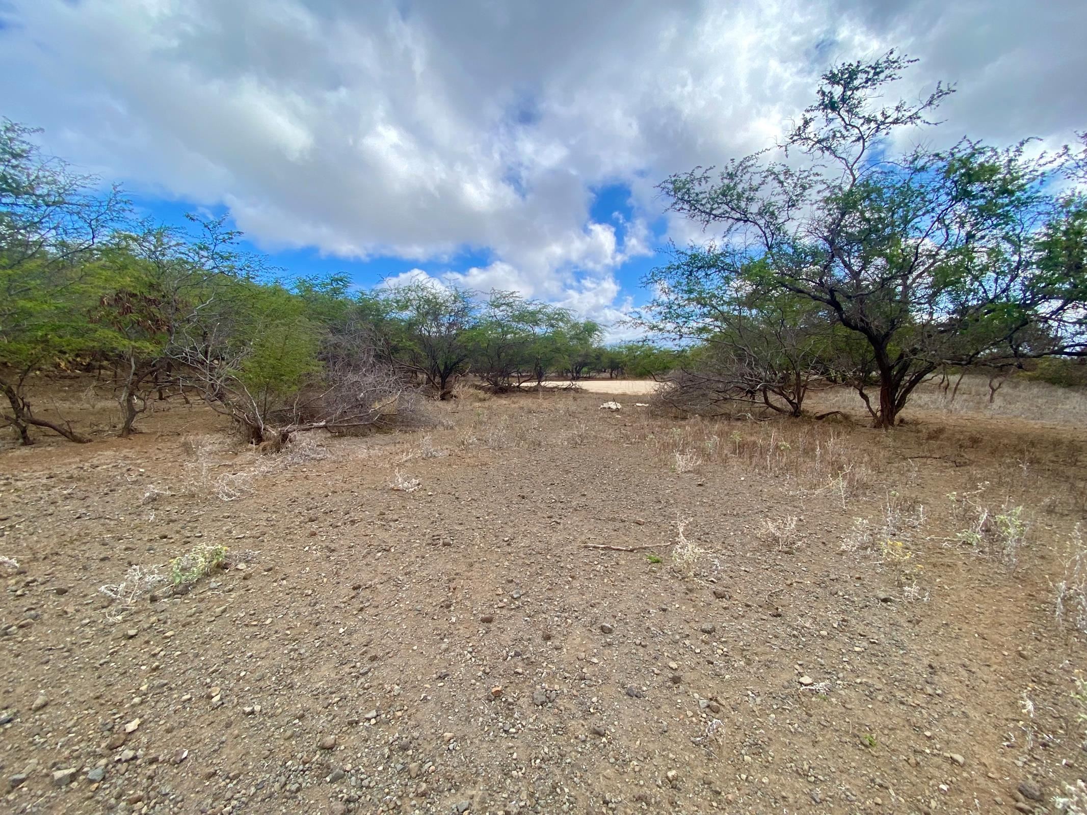 2100 Honoapiilani Hwy  Wailuku, Hi vacant land for sale - photo 3 of 11