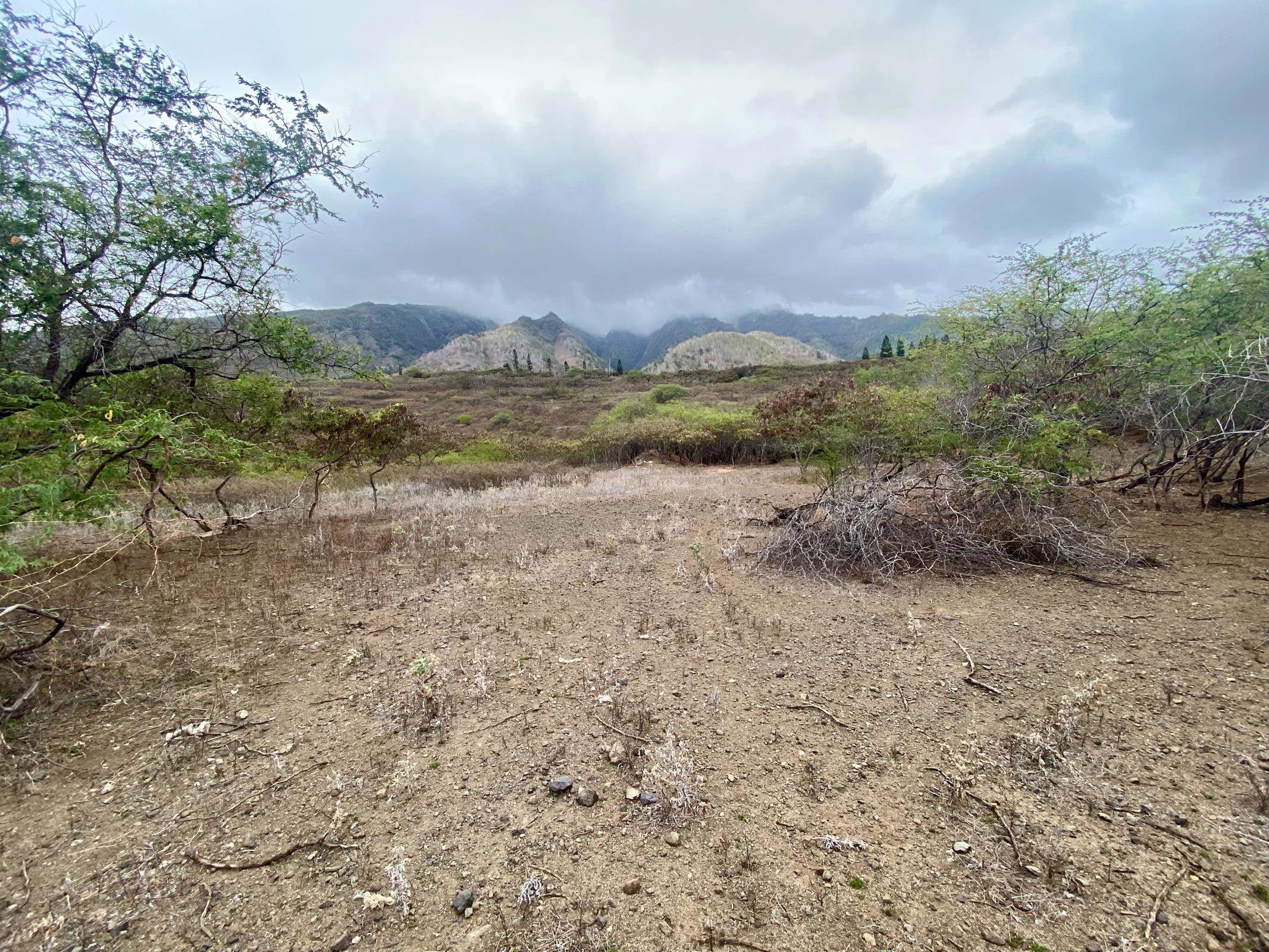 2100 Honoapiilani Hwy  Wailuku, Hi vacant land for sale - photo 5 of 11