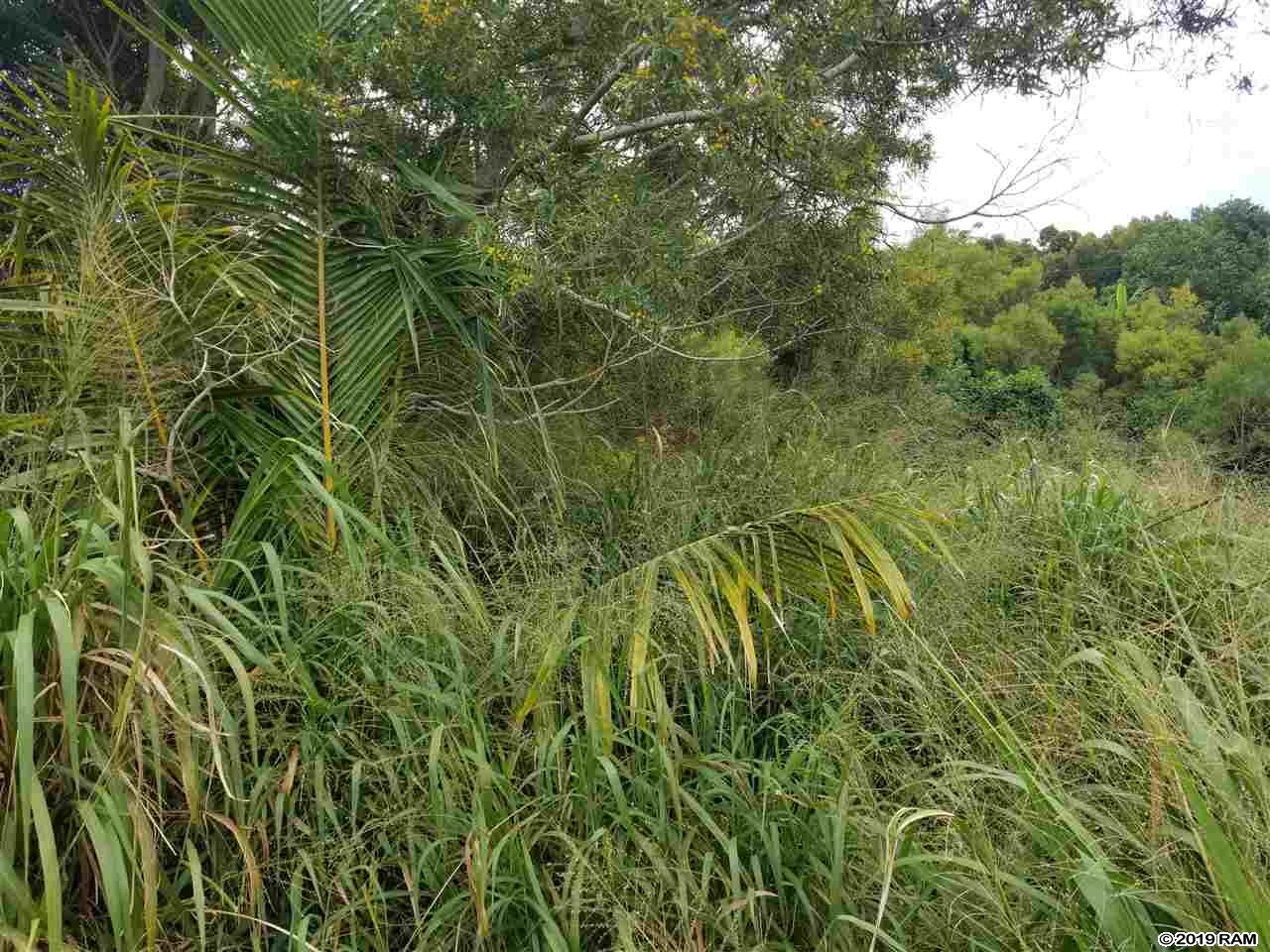 2108 Akeu Way  Kualapuu, Hi vacant land for sale - photo 3 of 3