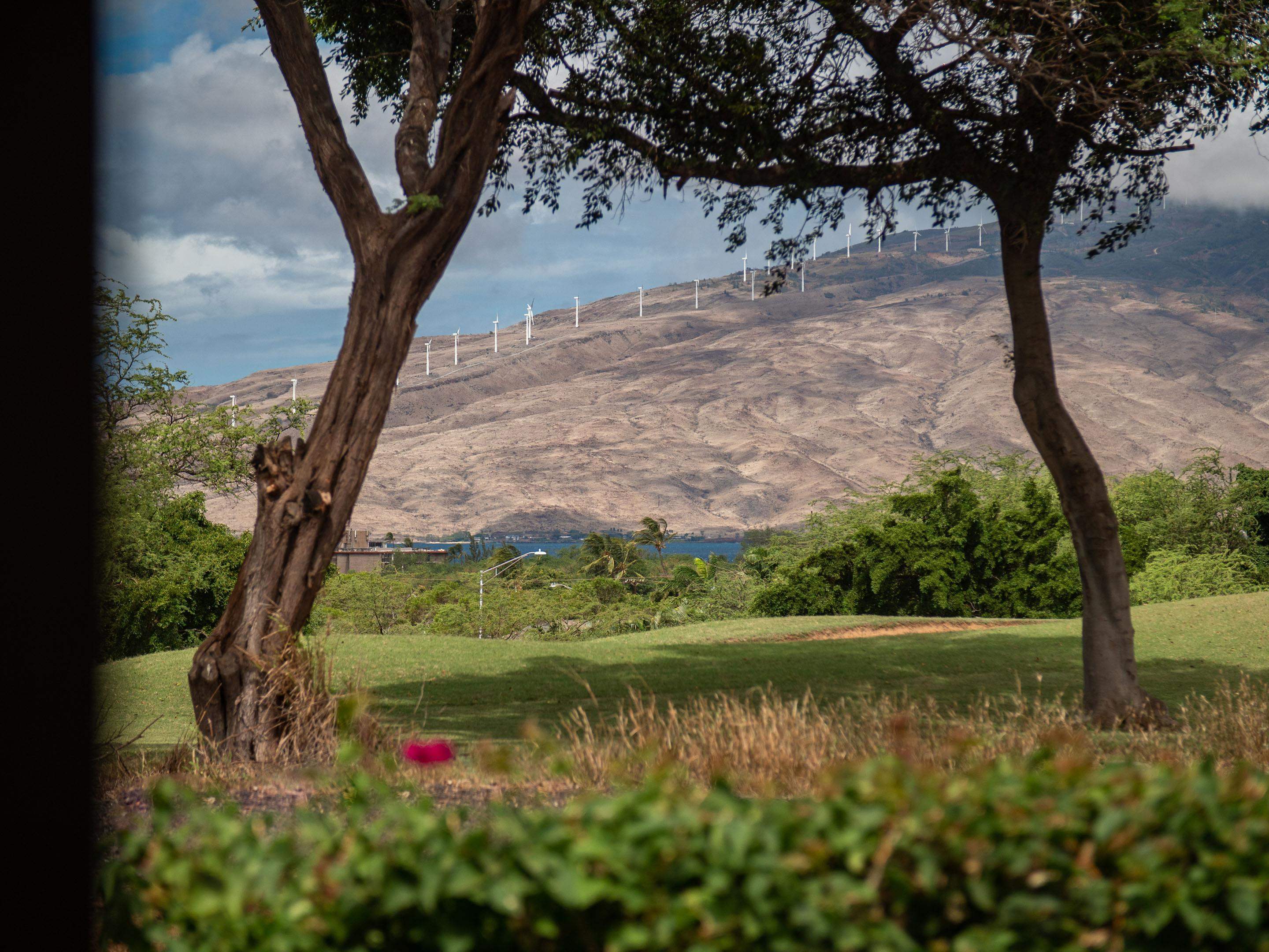 Hokulani Golf Villas condo # 75, Kihei, Hawaii - photo 13 of 30