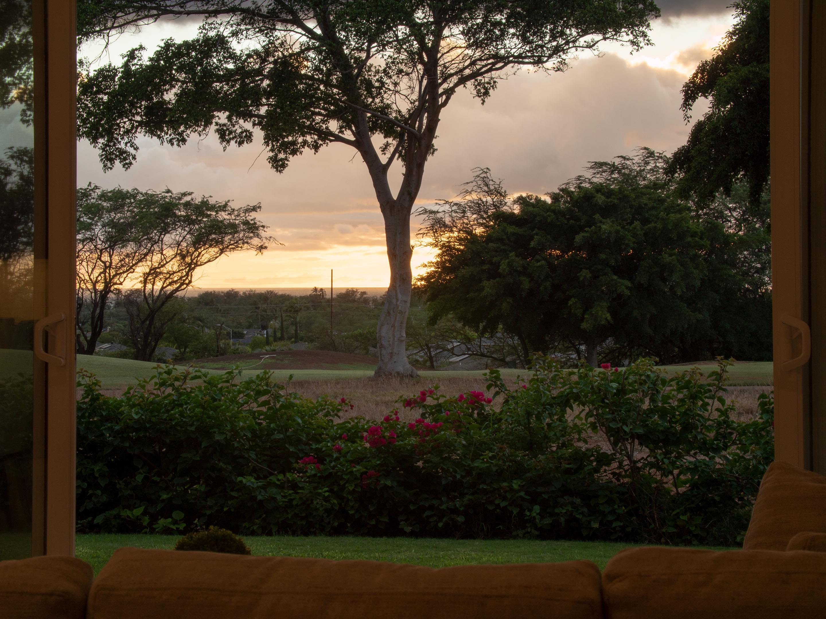 2111  Umeke Cir Maui Nui Golf Course, Kihei home - photo 2 of 41