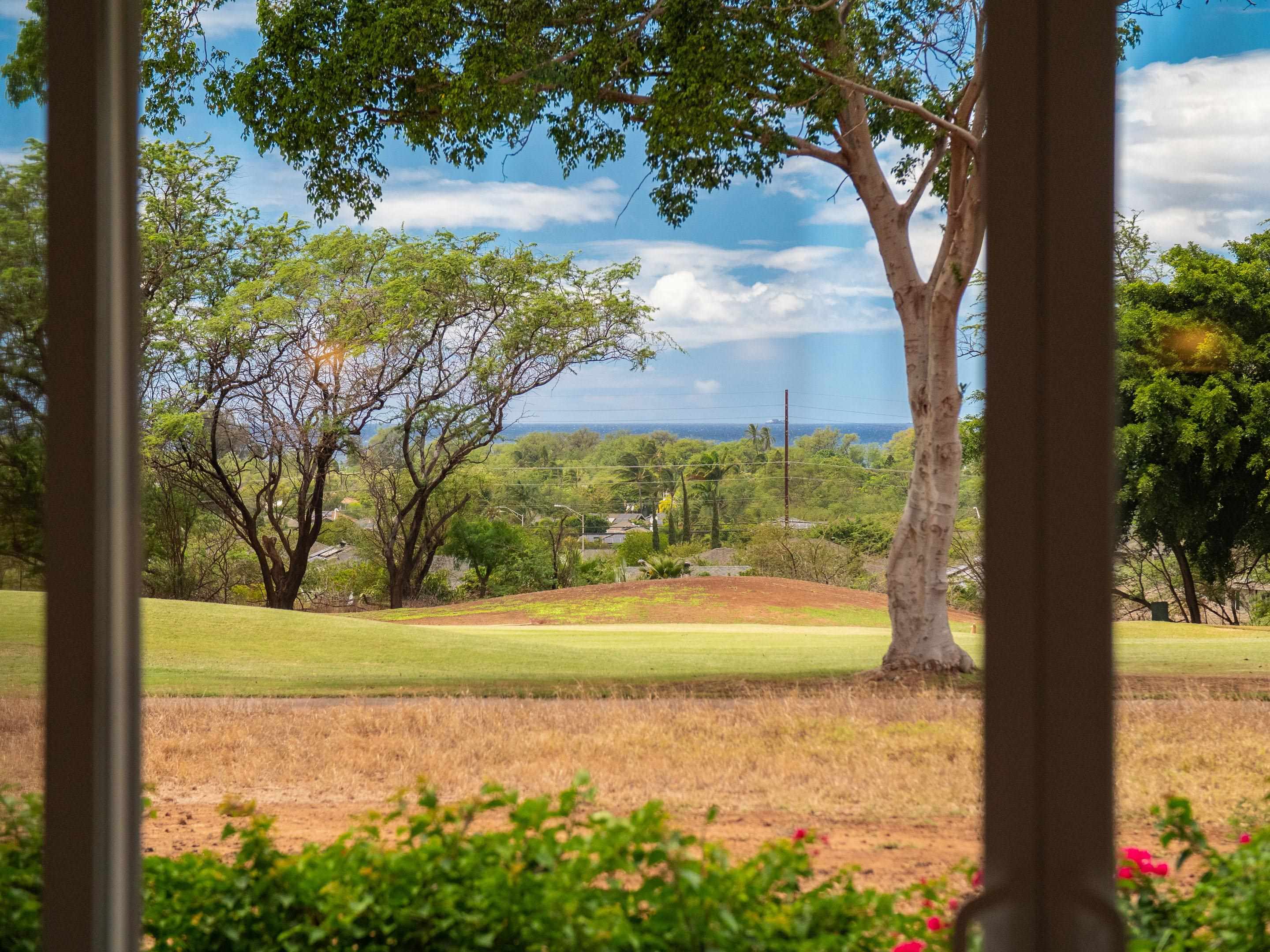 2111  Umeke Cir Maui Nui Golf Course, Kihei home - photo 33 of 41