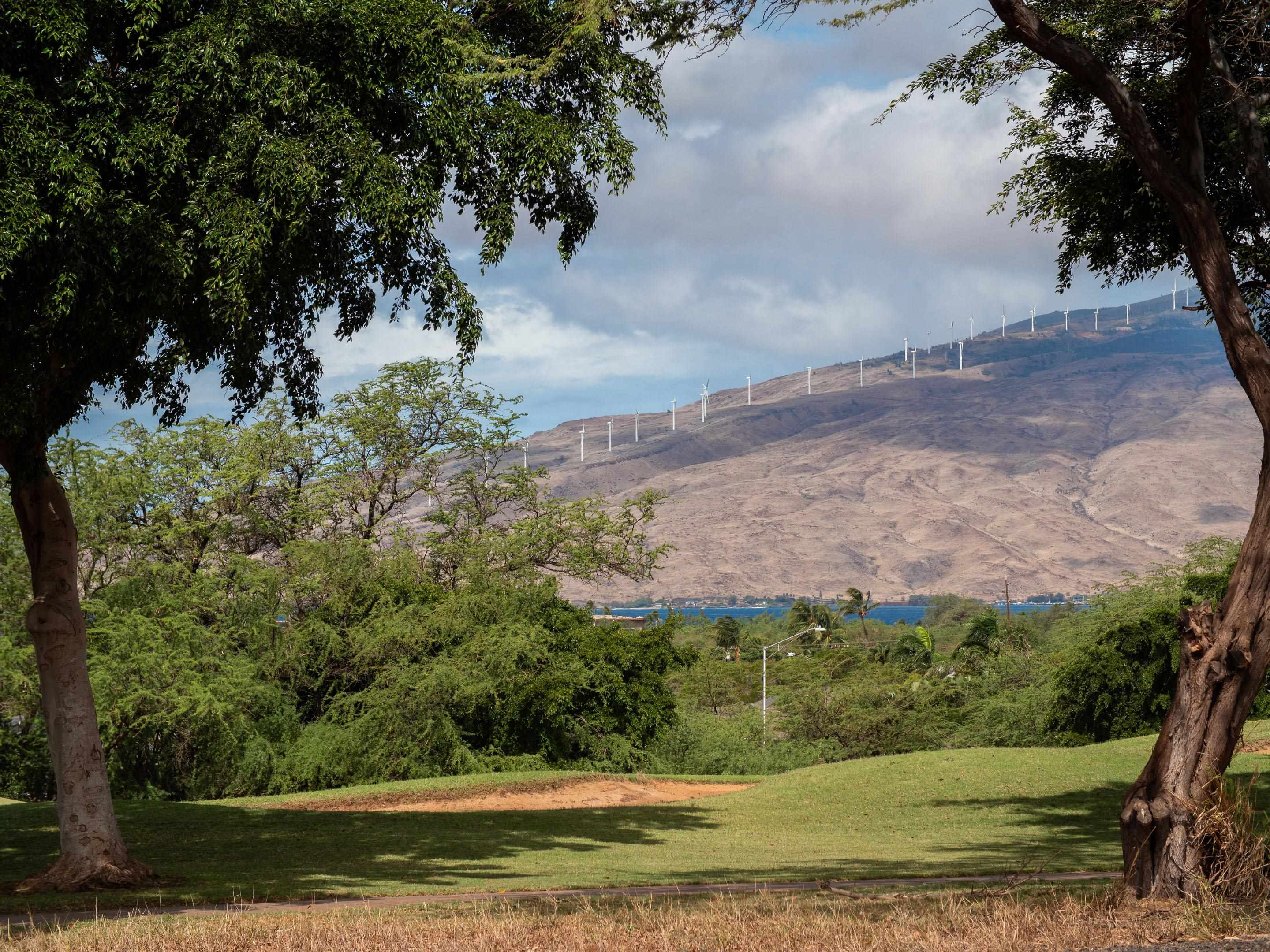 2111  Umeke Cir Maui Nui Golf Course, Kihei home - photo 34 of 41