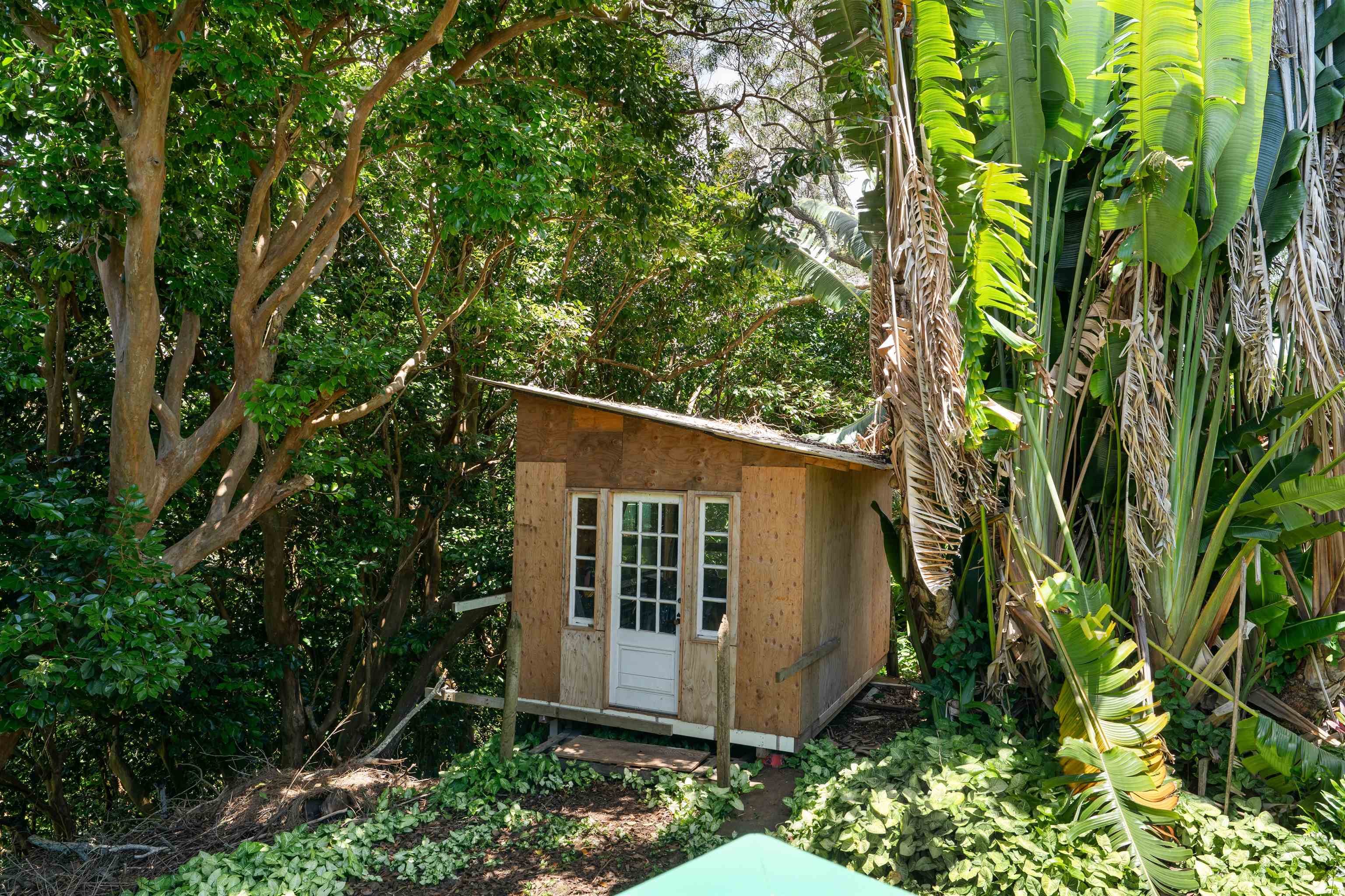 2115  Kaupakalua Rd , Haiku home - photo 22 of 27
