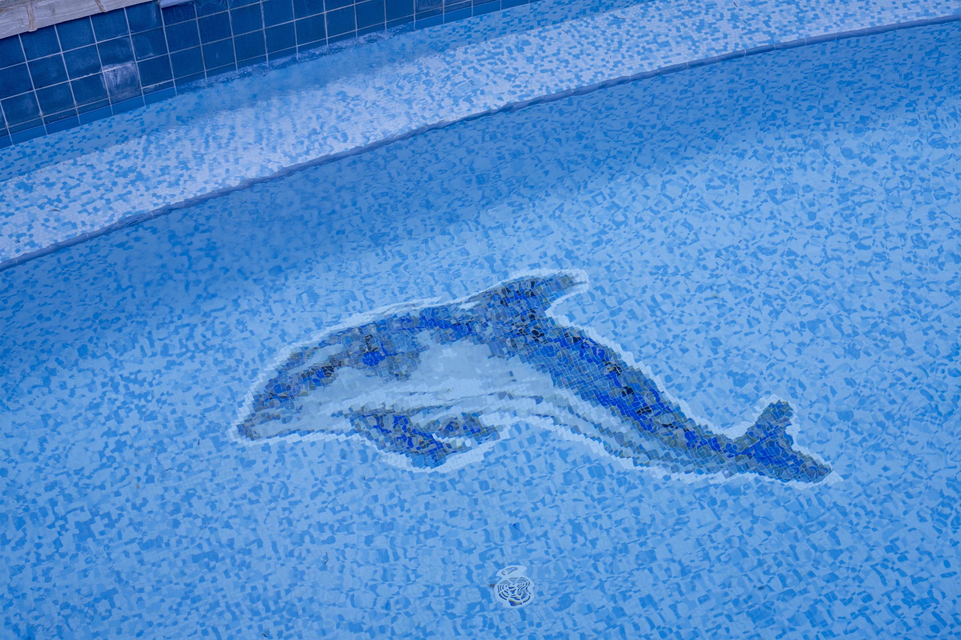 212  Crestview Rd Kapalua Resort, Kapalua home - photo 26 of 50