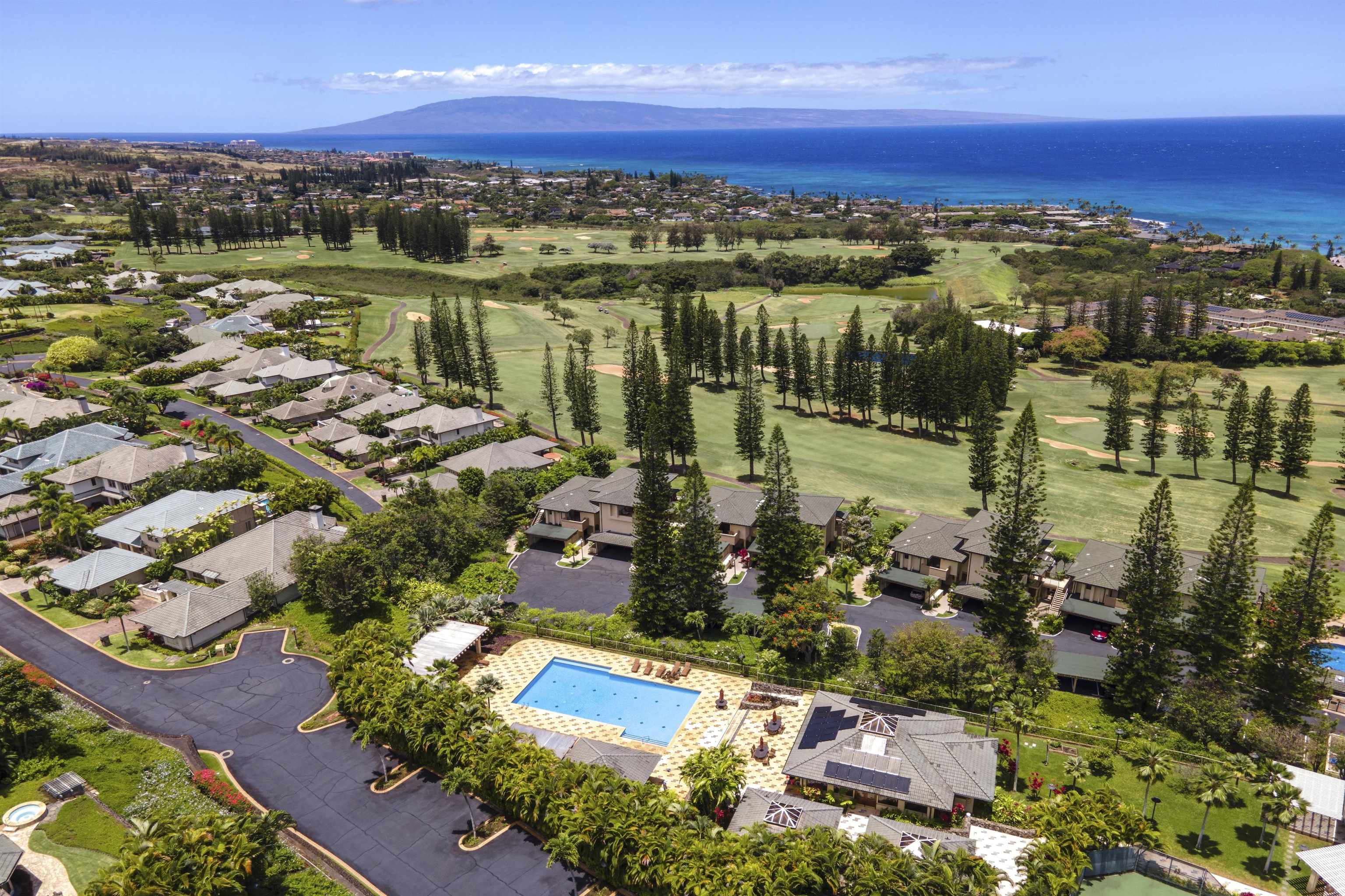 212  Crestview Rd Kapalua Resort, Kapalua home - photo 8 of 50