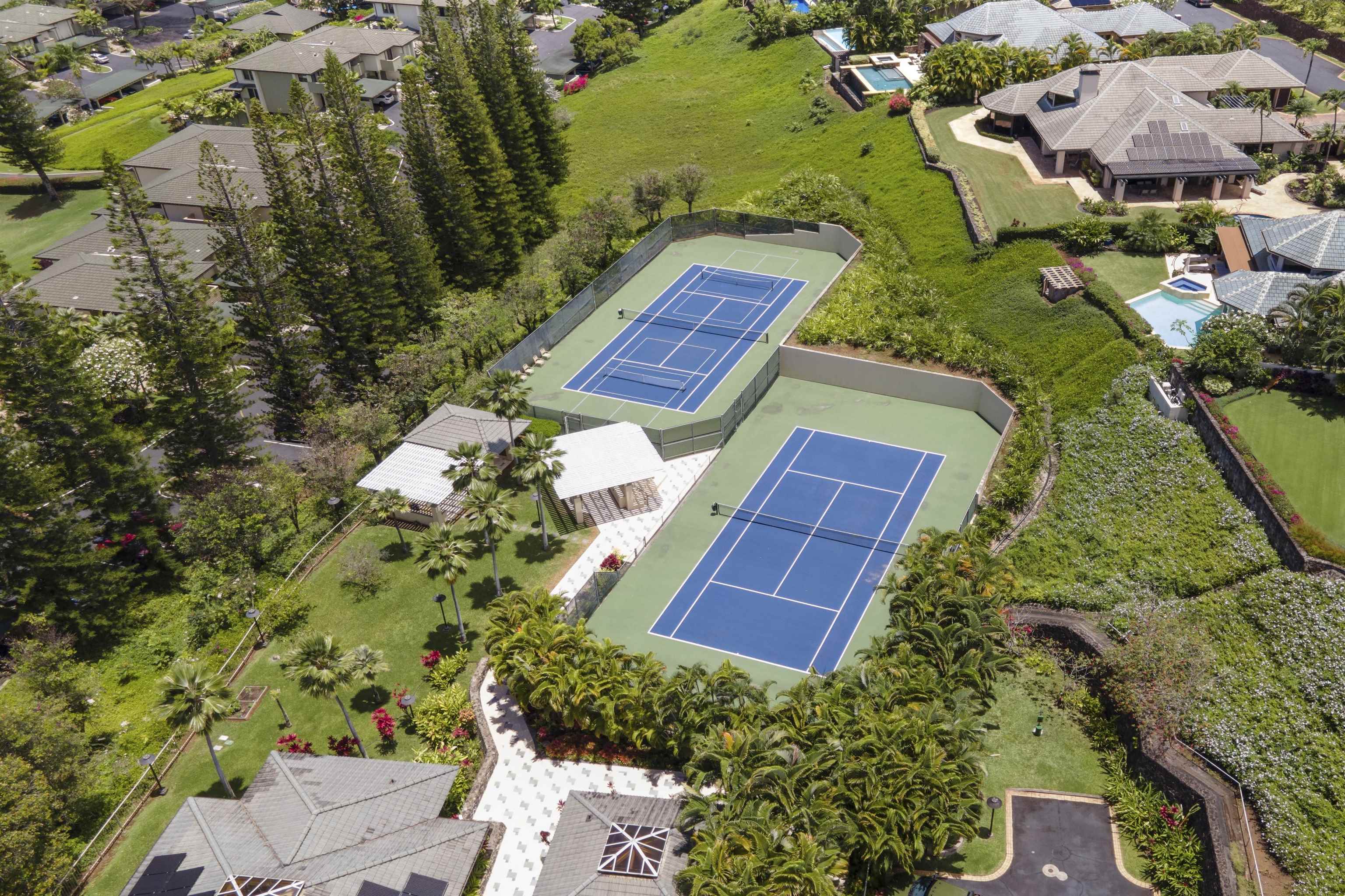 212  Crestview Rd Kapalua Resort, Kapalua home - photo 7 of 50
